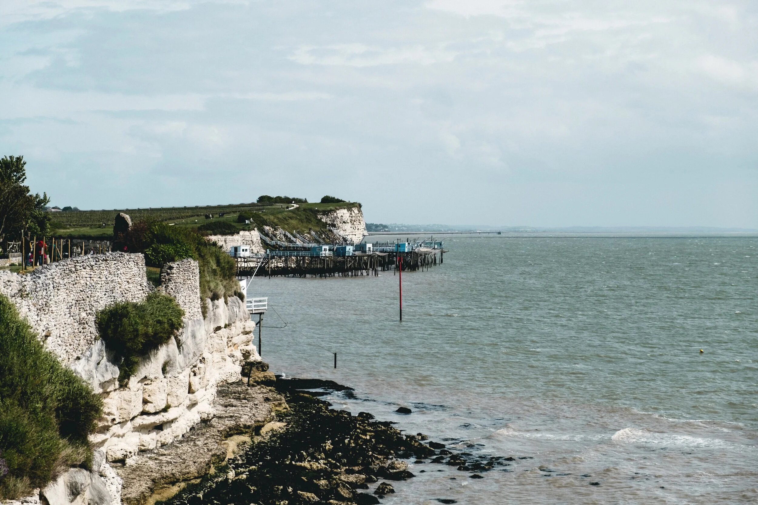 2019DSCF5250FujifilmX-T3X-T3.jpg