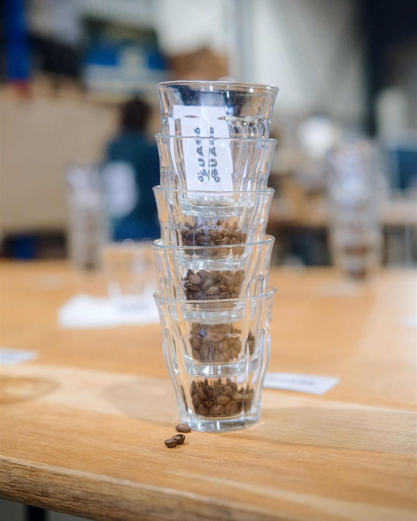🇫🇷/🇬🇧 ODE AU CAF&Eacute;. Il y a quelques semaines, j&rsquo;ai eu la chance de photographier et filmer l&rsquo;&eacute;dition 2025 des Primeurs de @belco.coffee . C&rsquo;&eacute;tait un &eacute;v&eacute;nement sur deux jours avec des conf&eacute