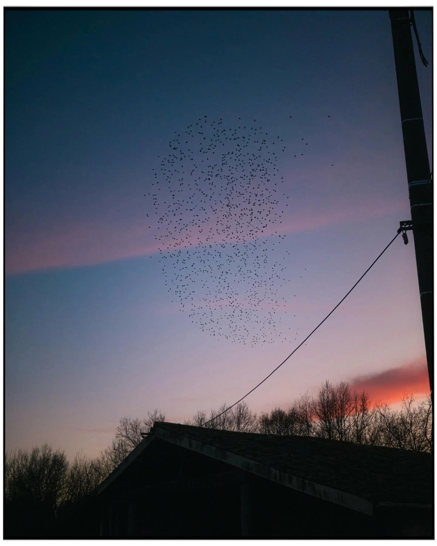 🇫🇷/🇬🇧
DERNI&Egrave;RES PHOTOS DE 2025. Voici mes derni&egrave;res photos de 2025 prises avec mon appareil. Elles ont &eacute;t&eacute; prises &agrave; la vol&eacute;e, j&rsquo;ai juste eu le temps de d&eacute;gainer en voyant la nu&eacute;e d&rsq