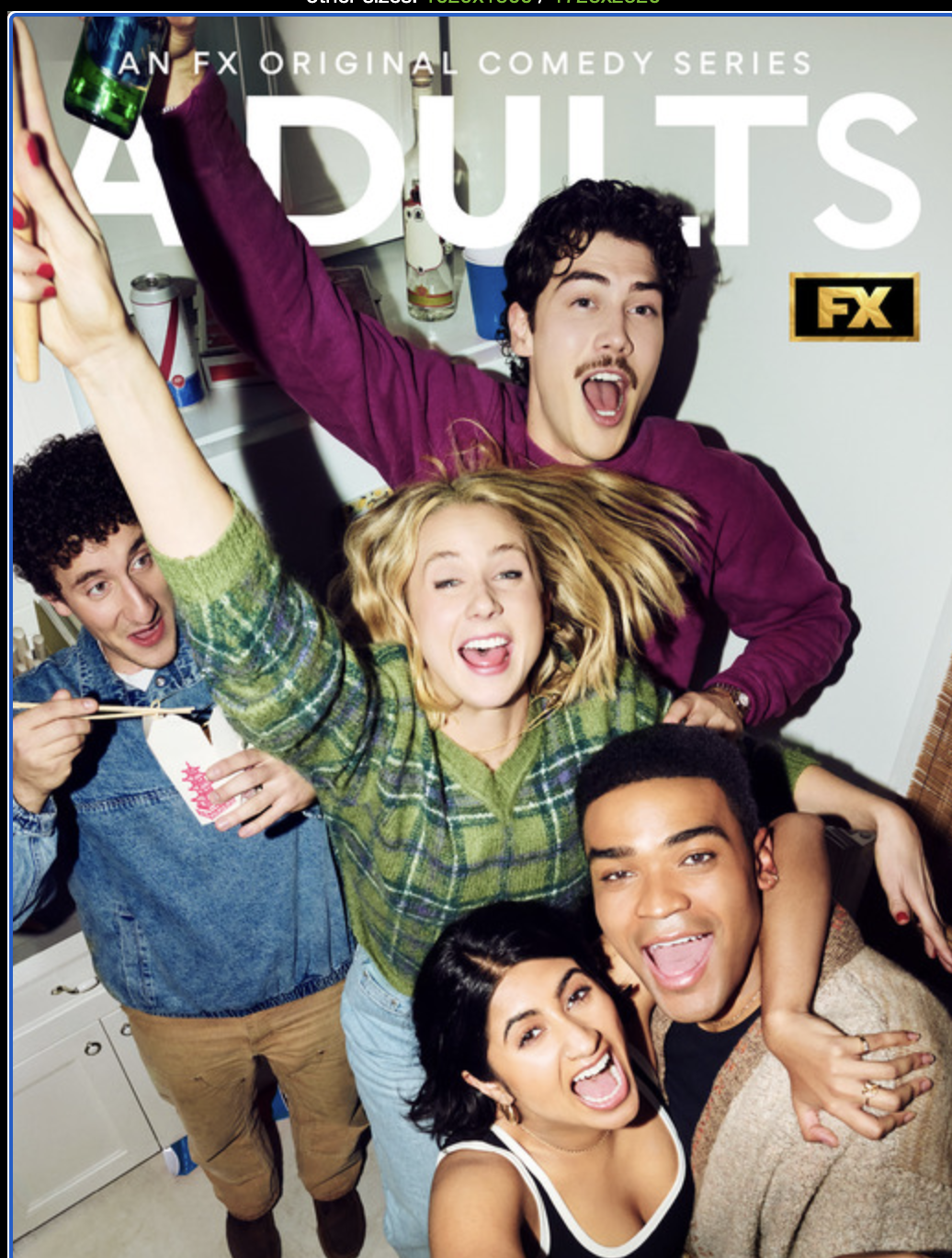 Adults TV show poster