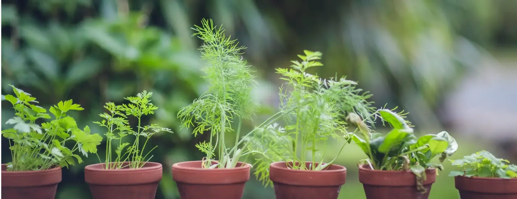 On Why Investing in Private Pay Therapy Is Really Worth It