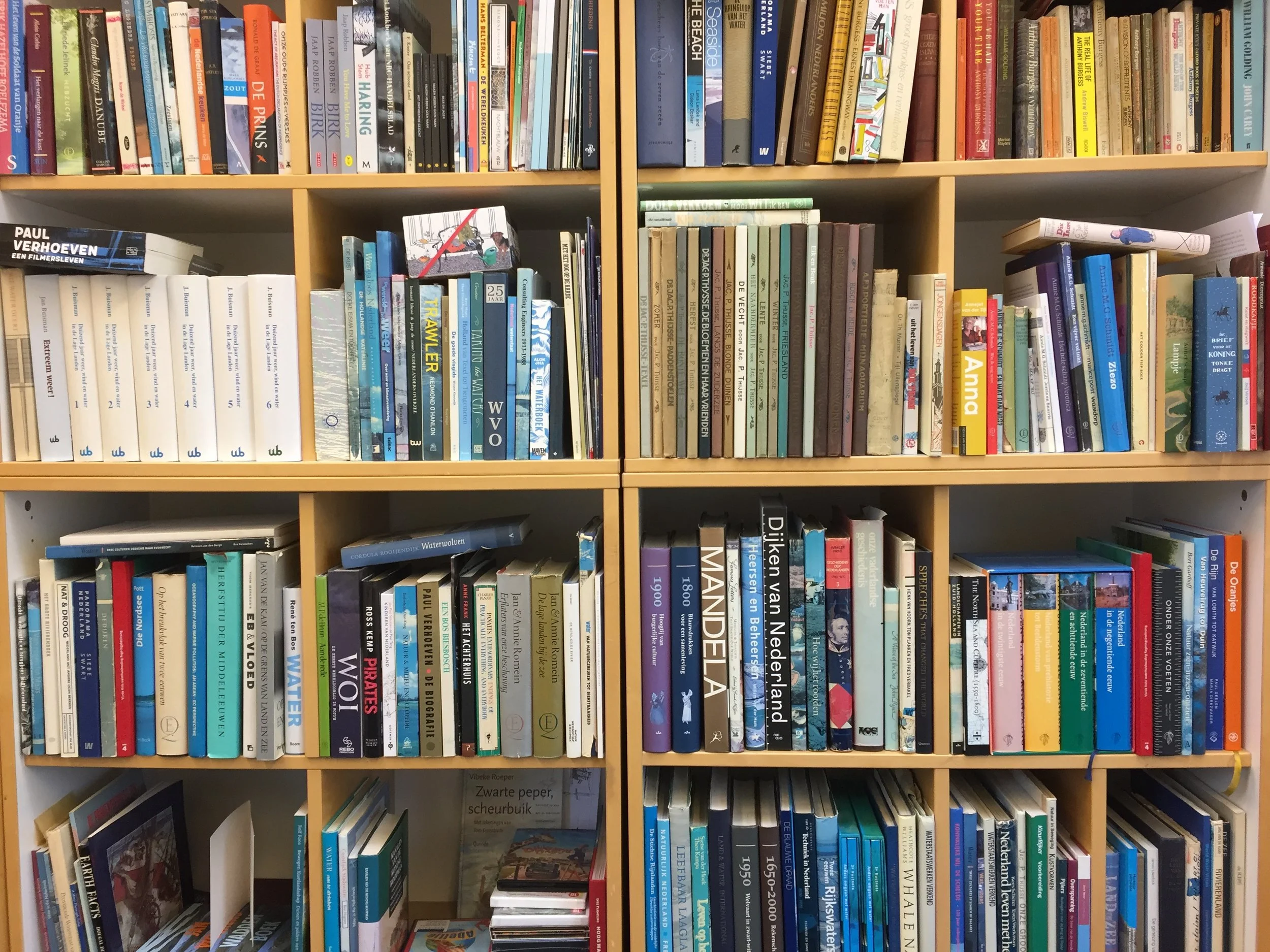 ONLINE: Direct Dutch Institute Boekenclub 