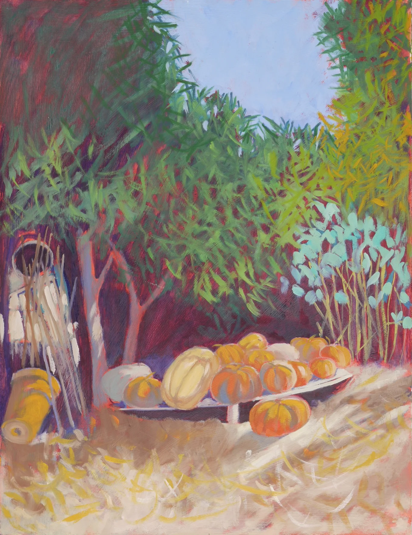 Badina's pumpkins – Barrancão, Alentejo, PT