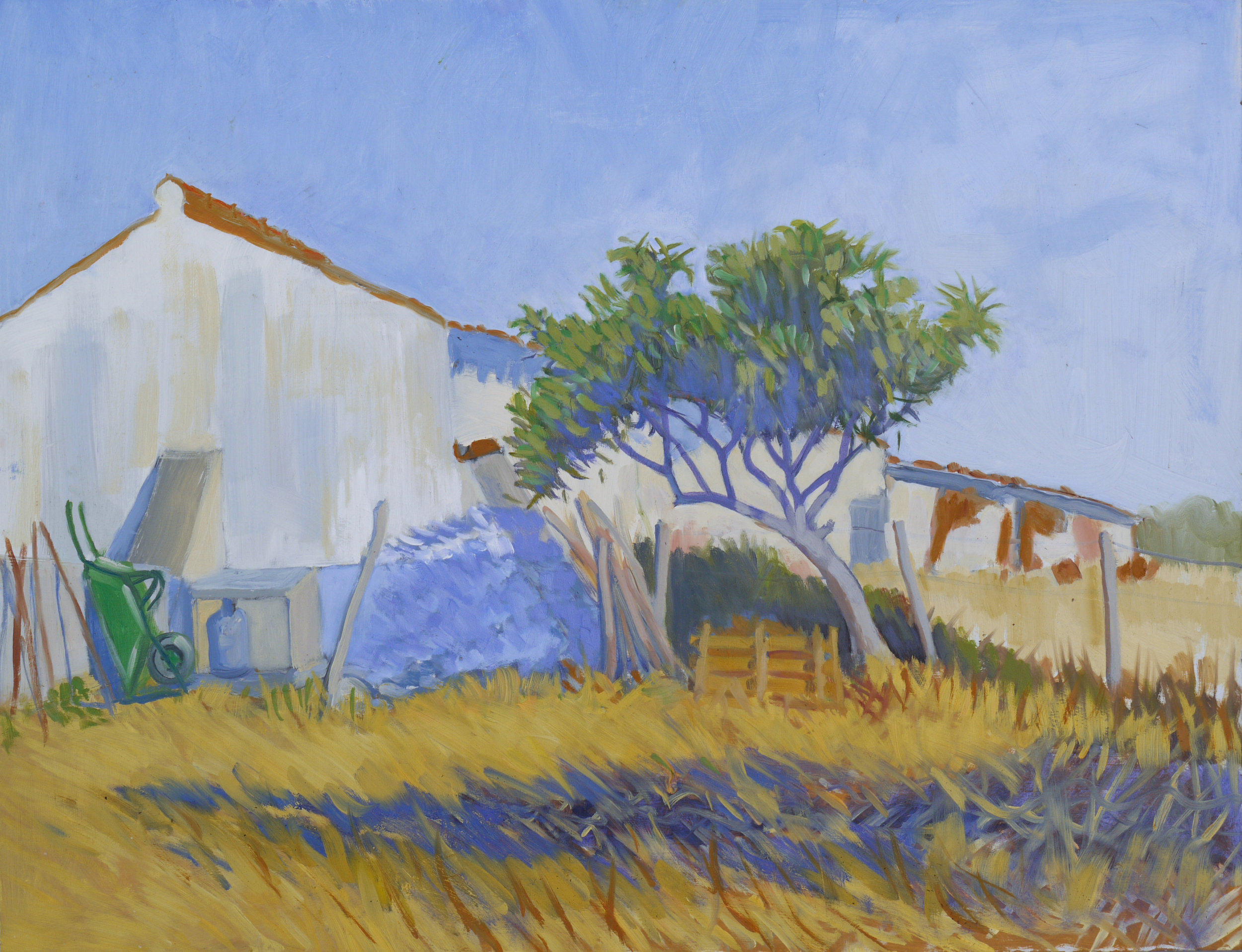 Medlar tree, casa Antonio – Barrancão, Alentejo, PT