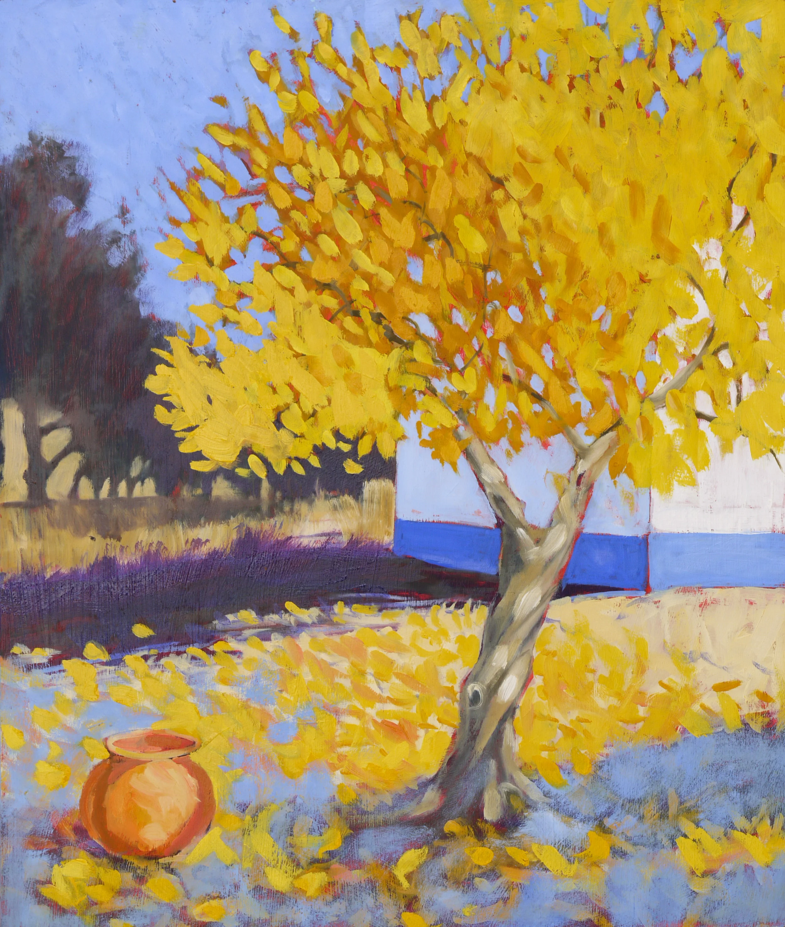 Autumn pomegranate tree, Casa Antonio – Barrancão, Alentejo, PT