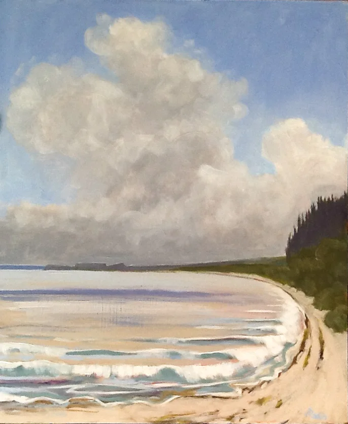 Sommerhus beach – Ejerslev, Mors, DK