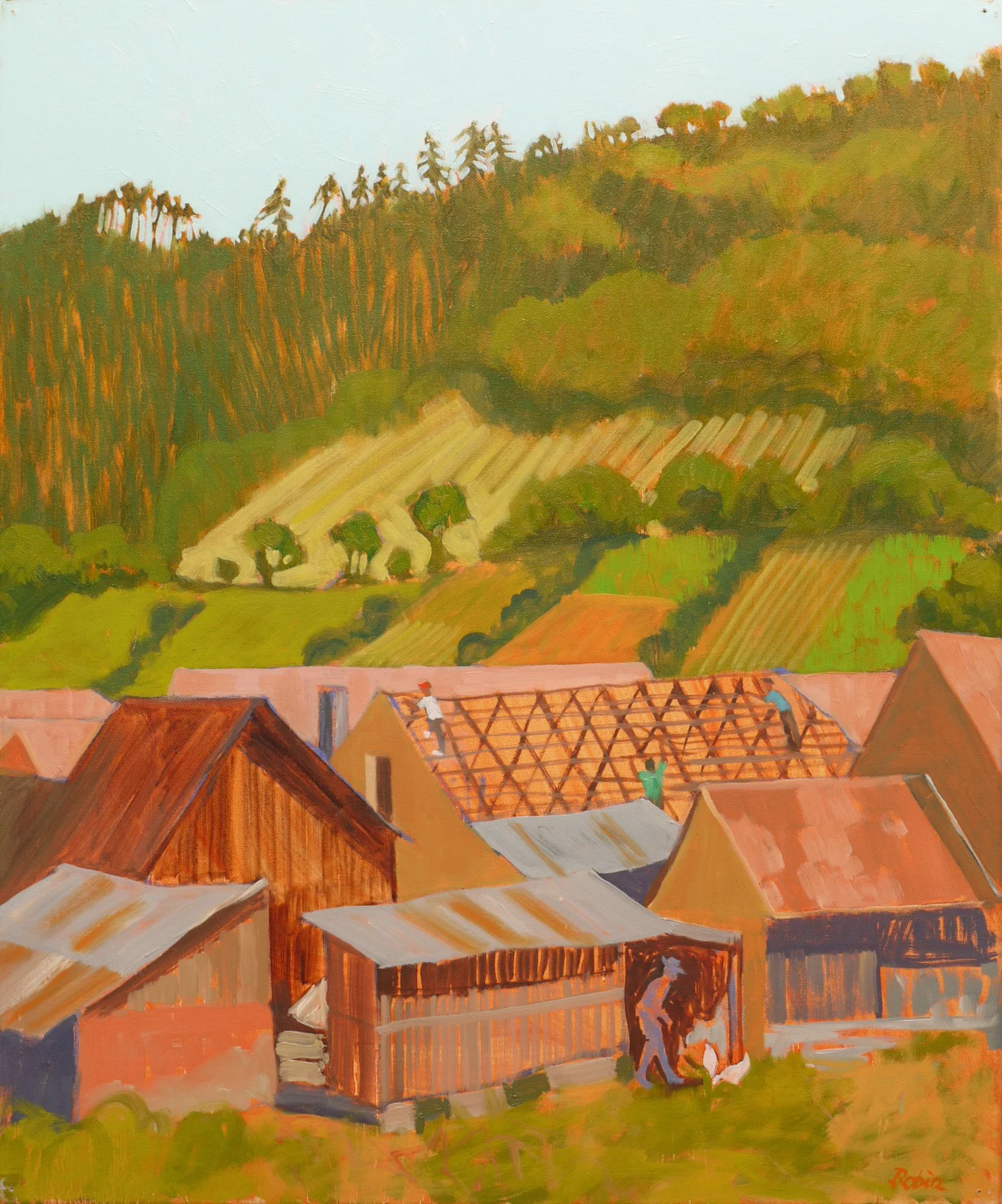 Re-roofing, Saxon village Malancrav – Transylvania, RO