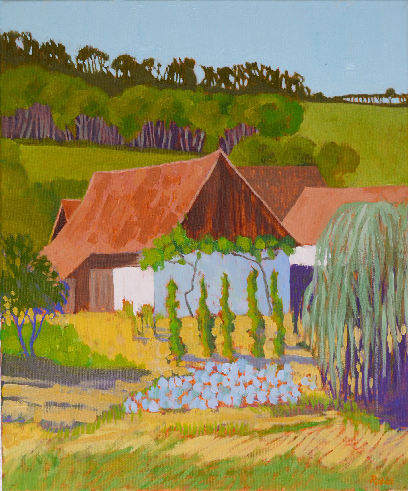 Vegetable garden and weeping willow, Saxon village Malancrav – Transylvania, RO