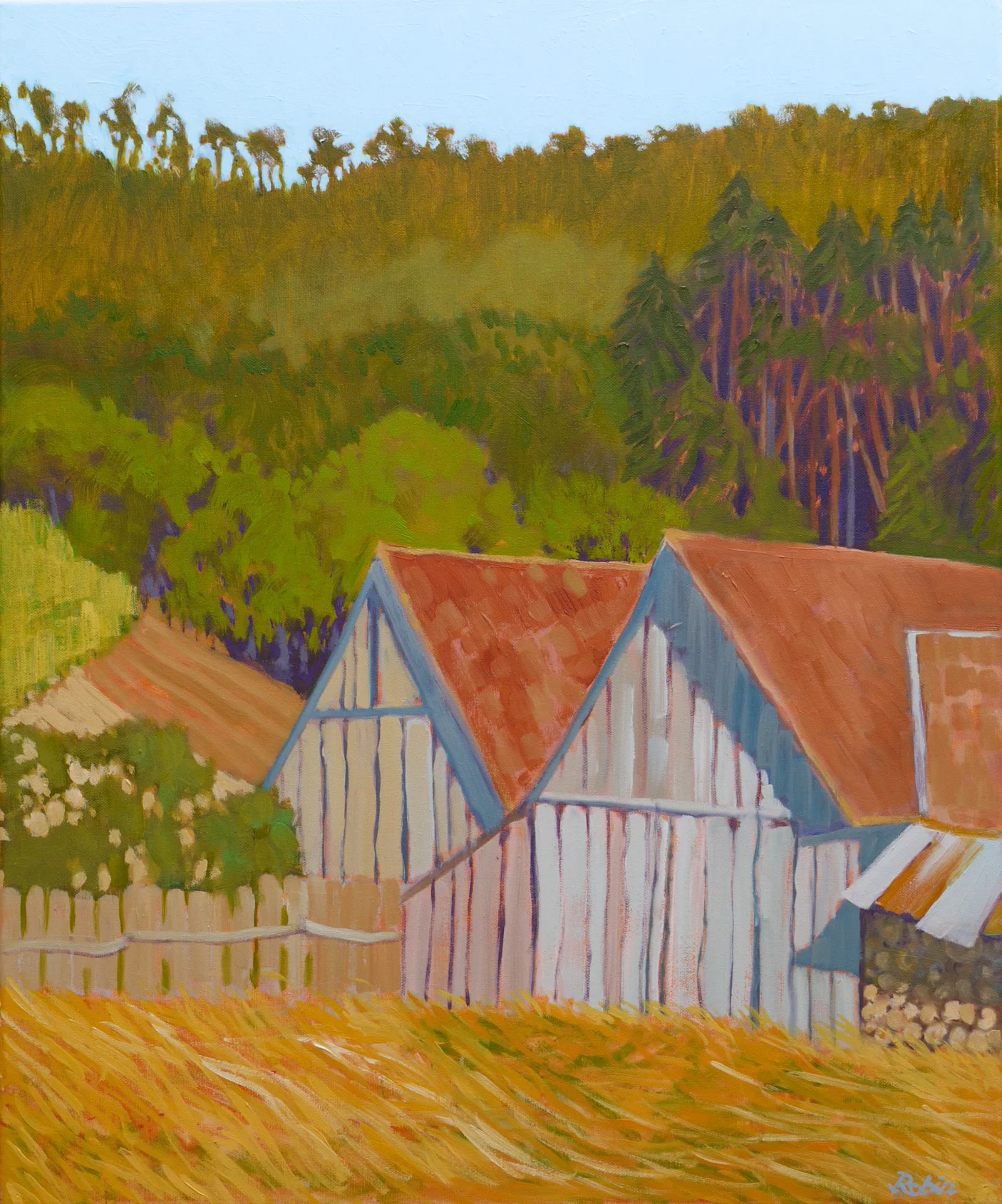 Barns and forest, Saxon village Malancrav – Transylvania, RO