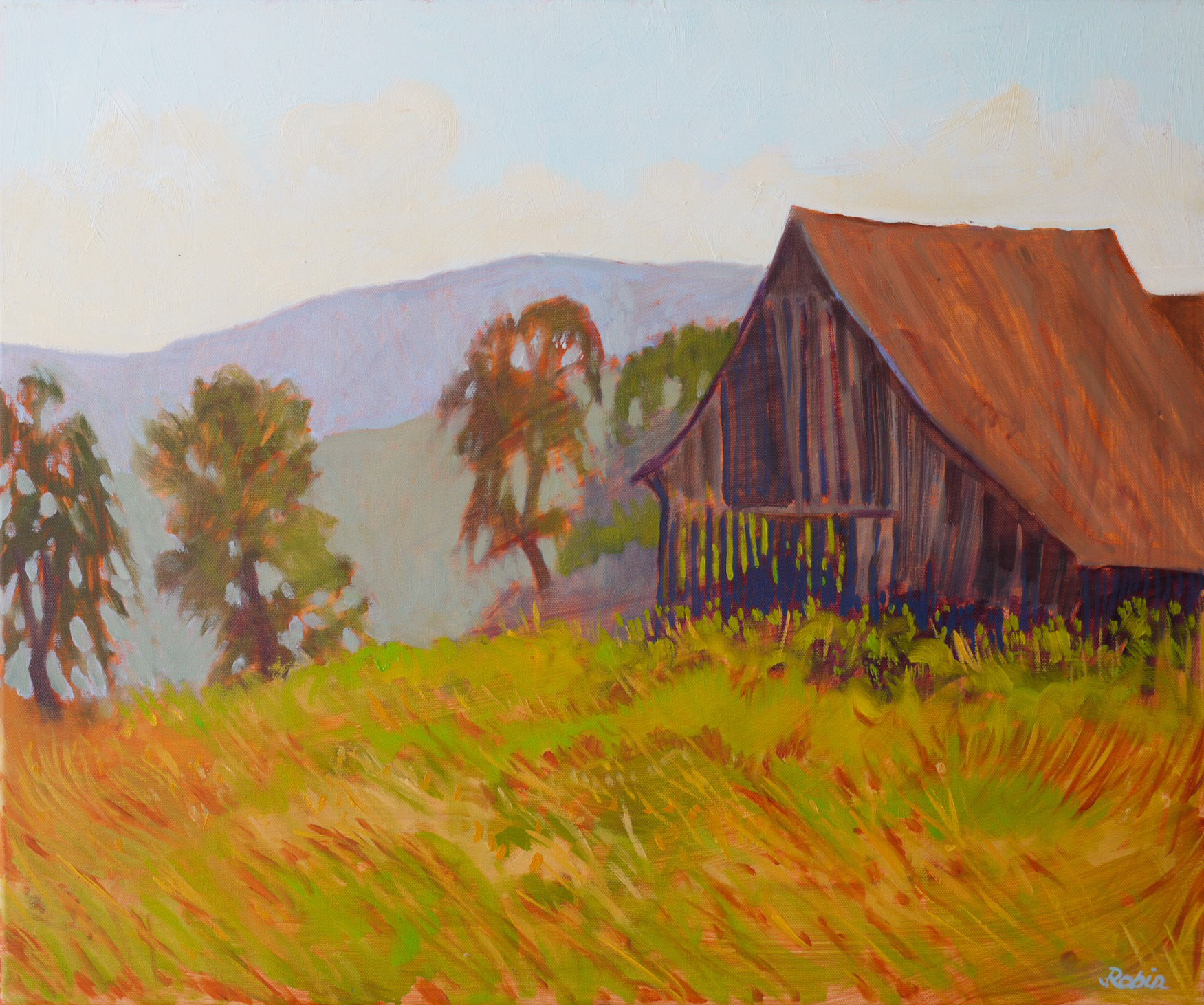 Wooden barn, Saxon village Mesendorf – Transylvania, RO