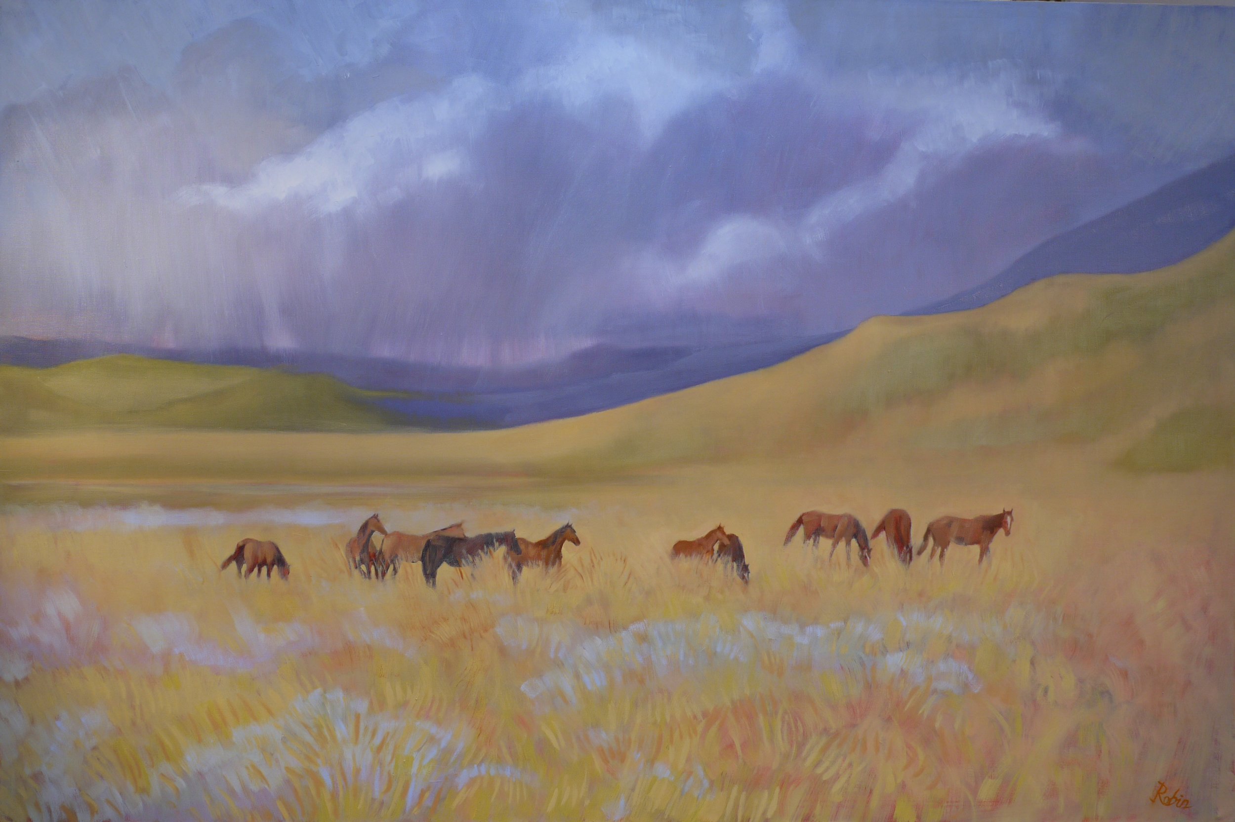 Ranch horses near Elko – NV, US