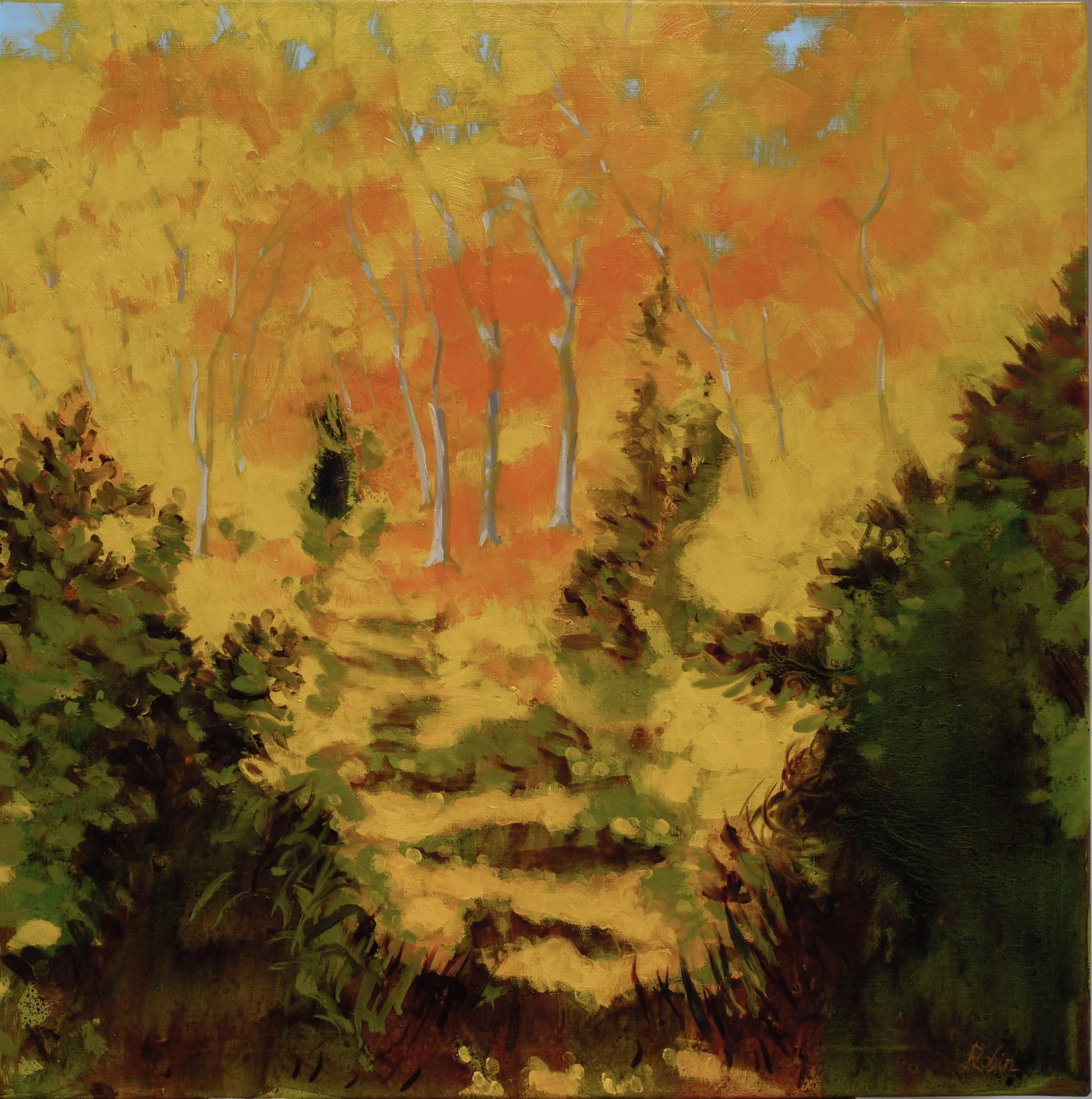 Autumn Blue Ridge Mountains –   NC, US