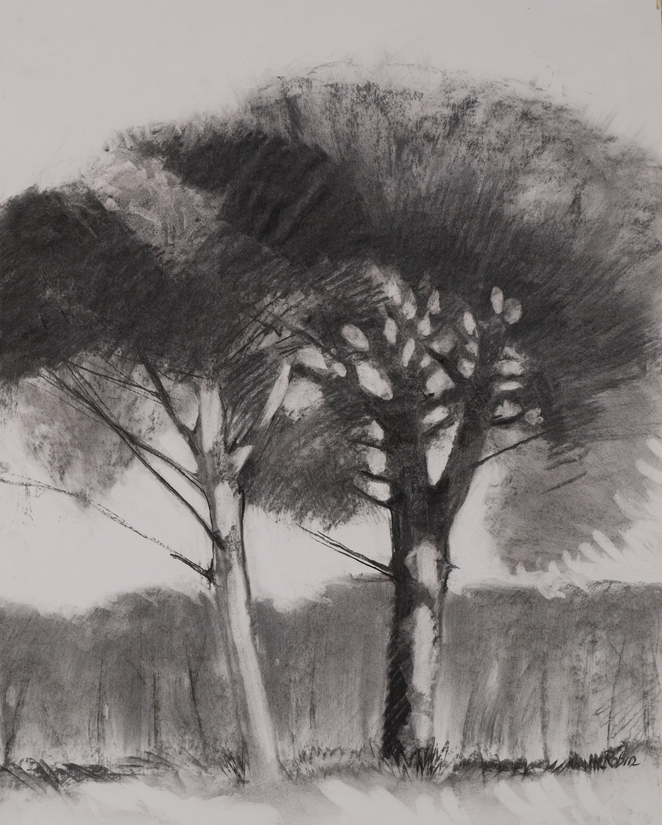Evening, two umbrella pines – Alcácer do Sal, PT