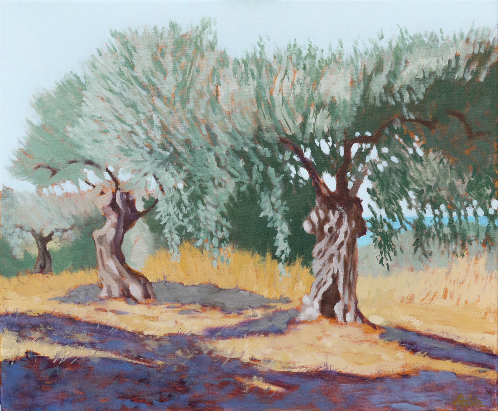 Olive grove, near Villa Amalthea, Pefki – Evia, GR