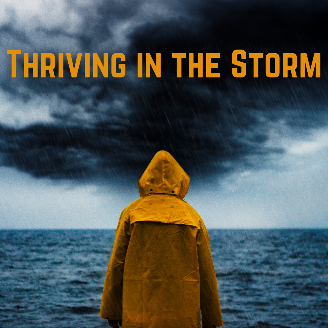 Thriving in the Storm