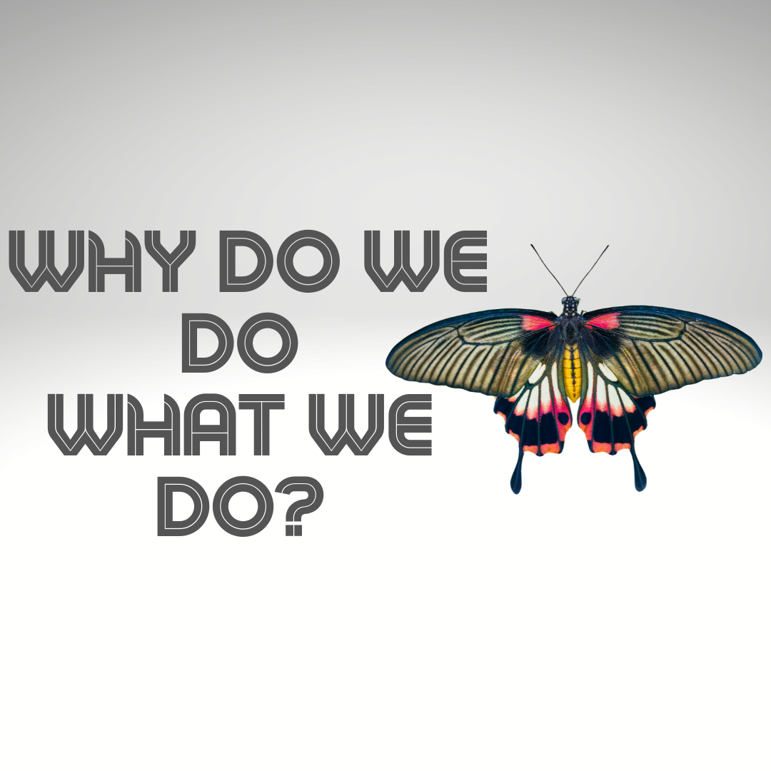 What is the Purpose of Church?