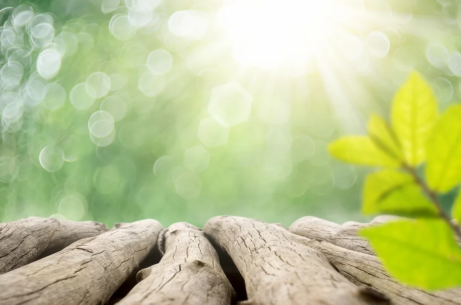 bigstock-Blur-Green-Nature-Bokeh-With-S-202828771.jpg