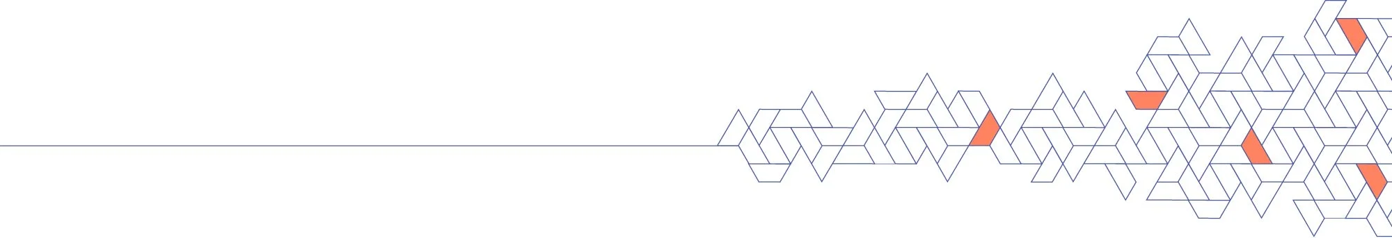 Geometric_ClientStory_ServicePage.jpg