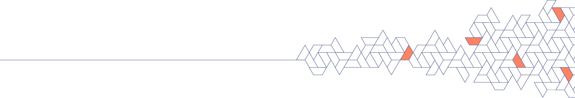 Geometric_ClientStory_ServicePage.jpg