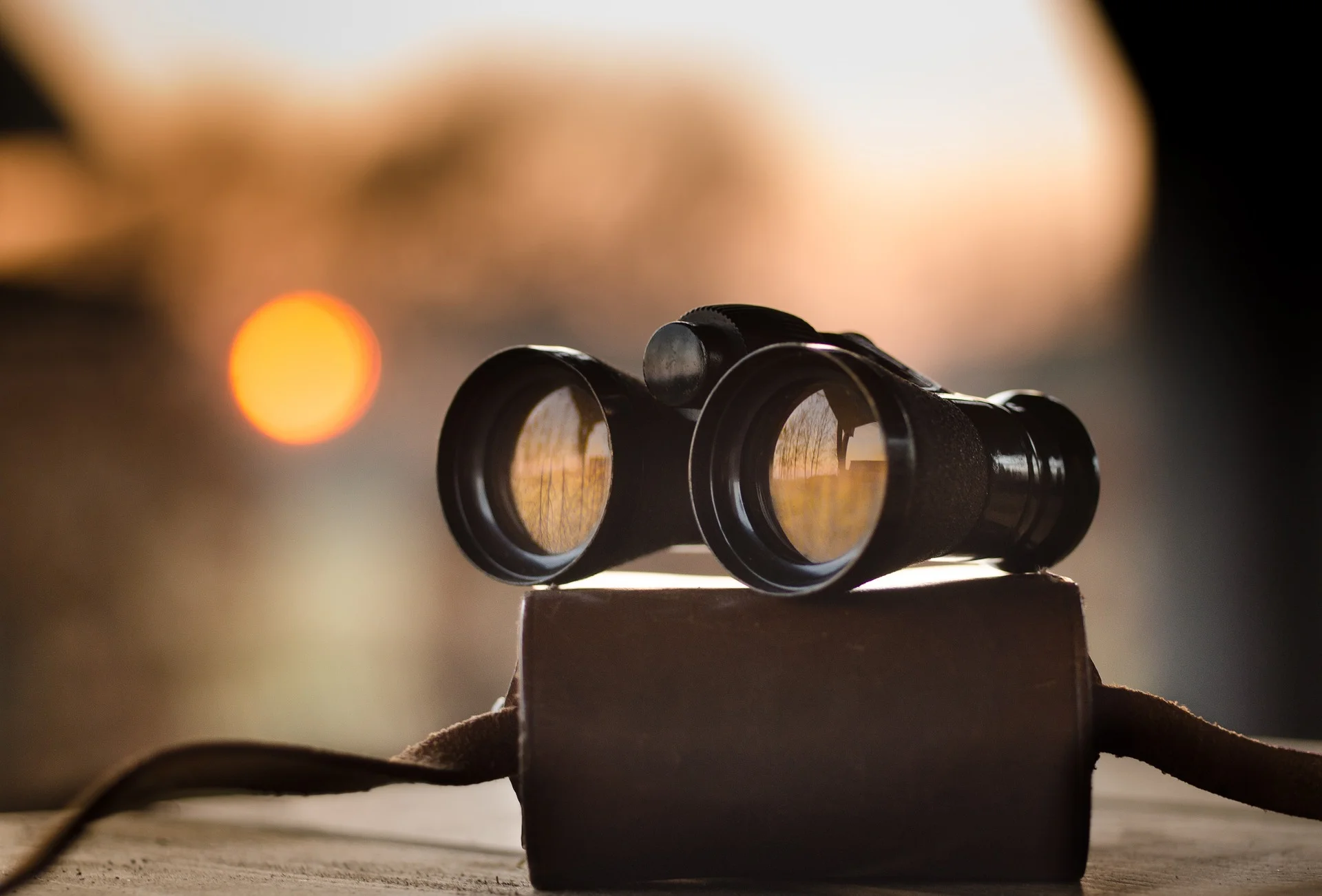 WILD_binoculars.jpg