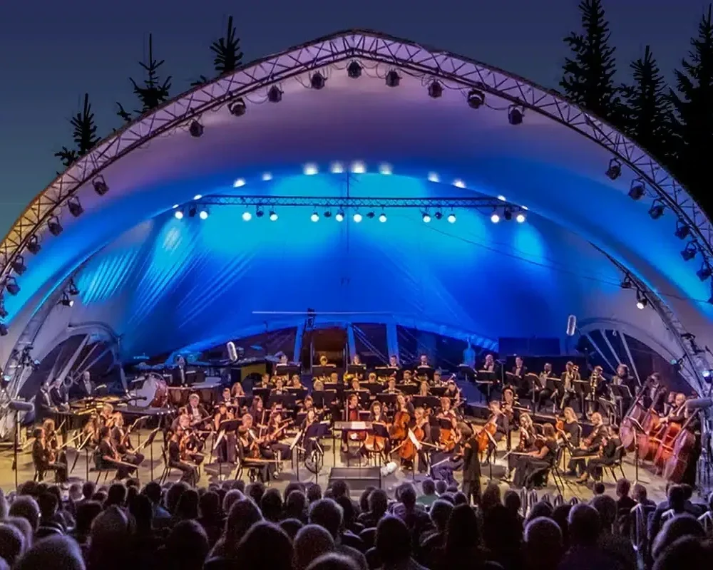 Classical Tahoe: The Classical Continuum