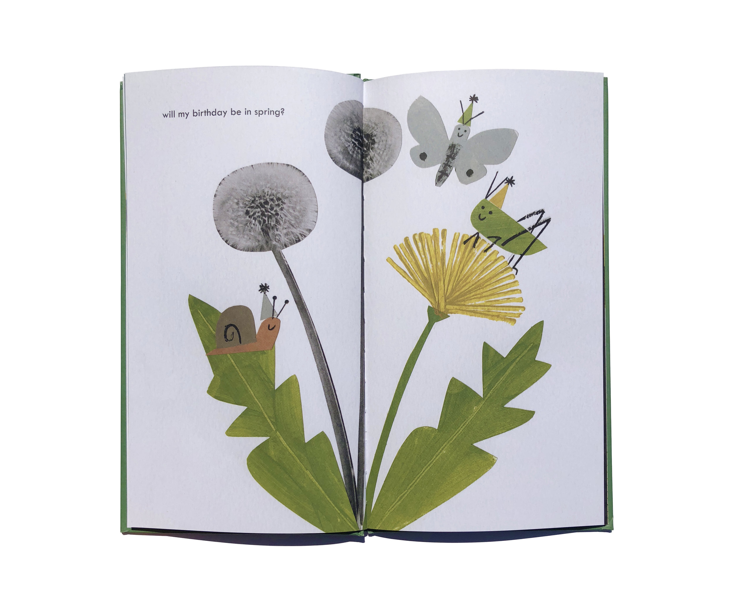 When's My Birthday — Spring 60 x 50.jpg