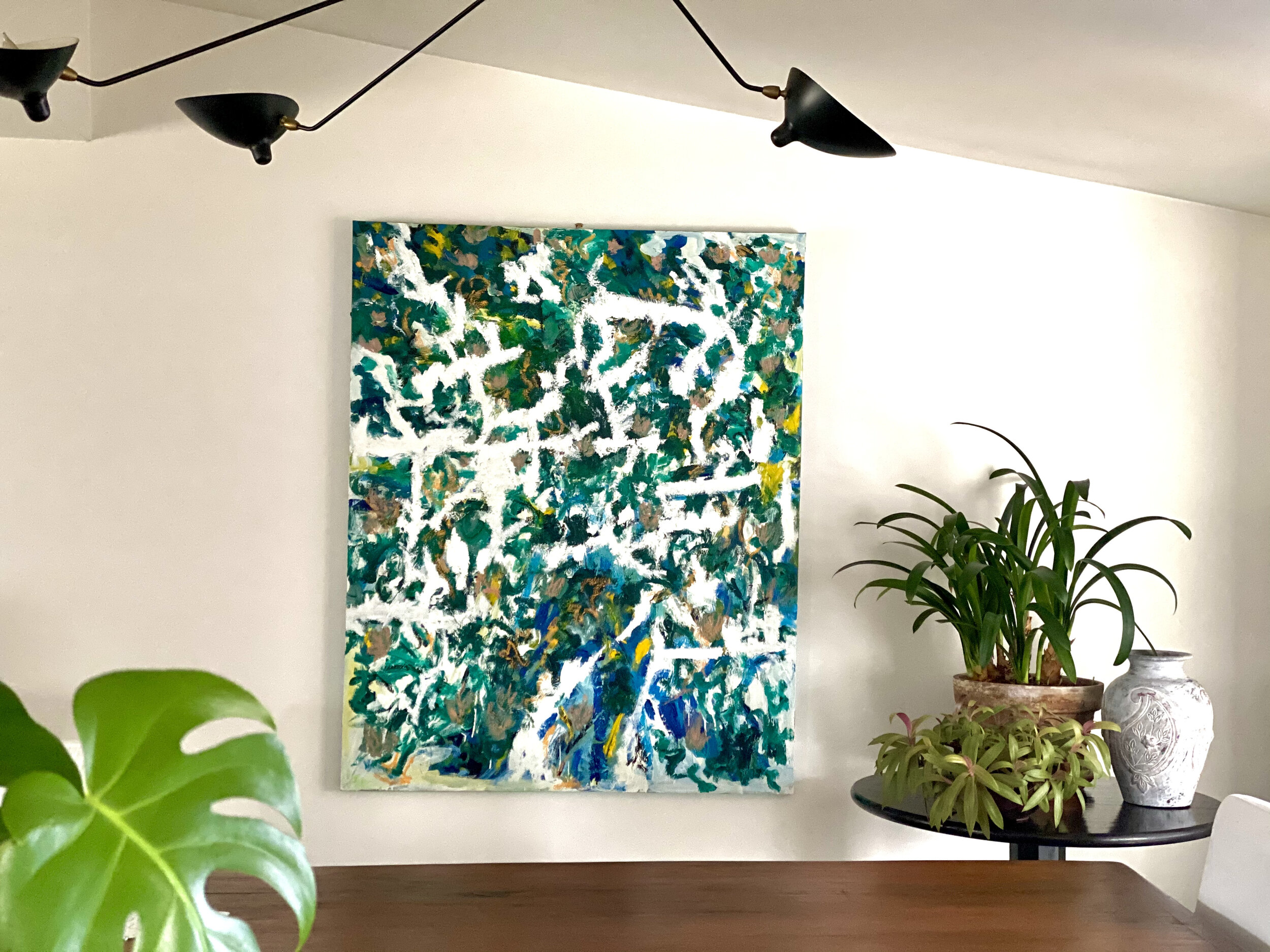 Morning light on the Magnolia Tree