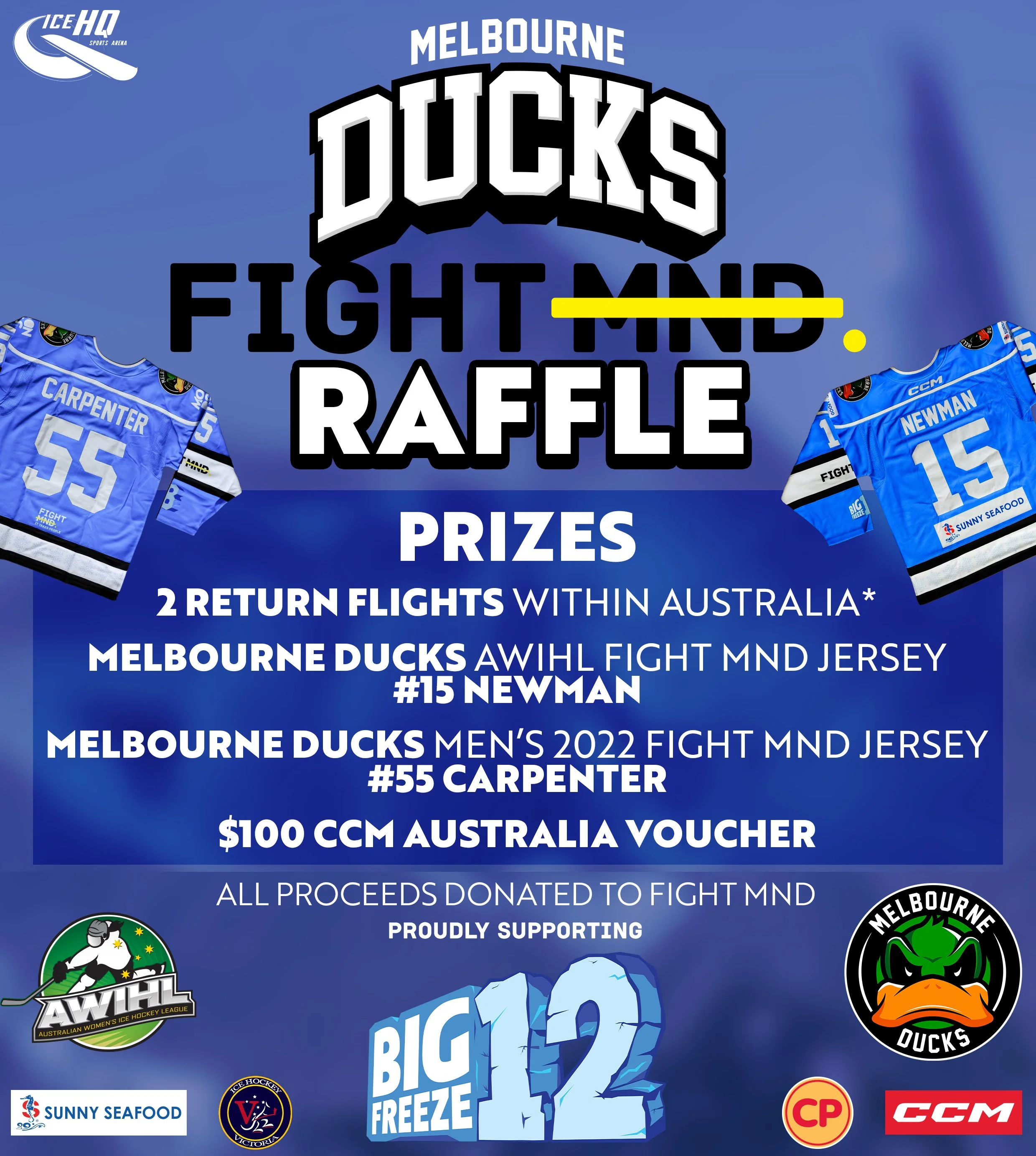 raffle big freeze 3v3 copy3 copyb.jpg