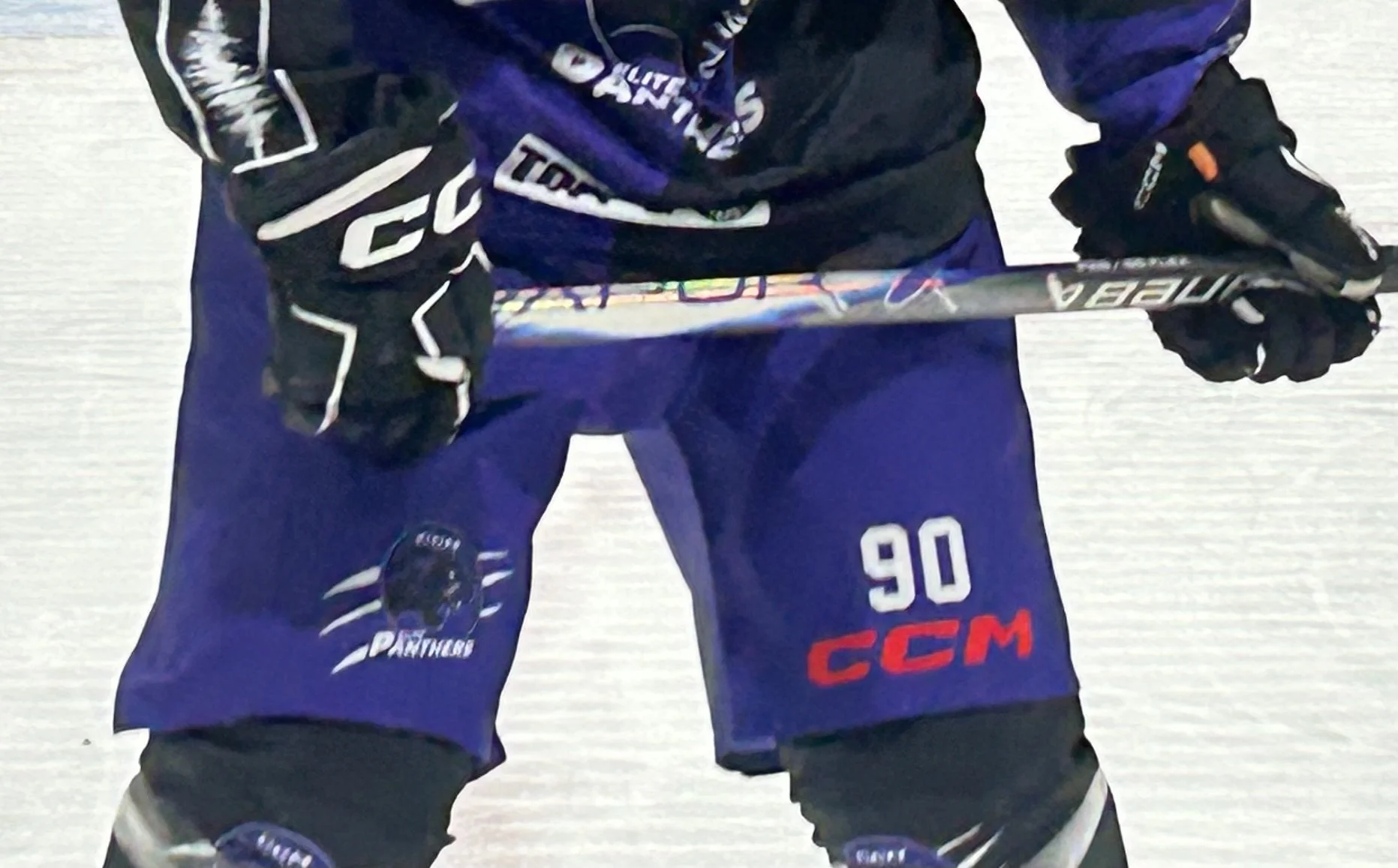 Panthers Shorts.jpg