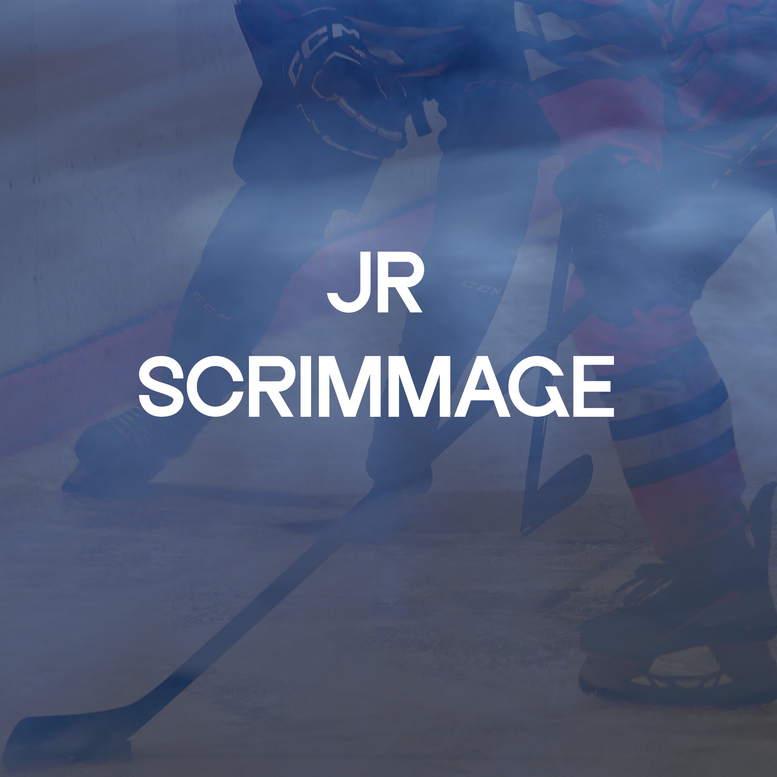 jr scrimmstick n puck NEW copy.jpg