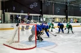 Senior Development Training - Term 1, 2026