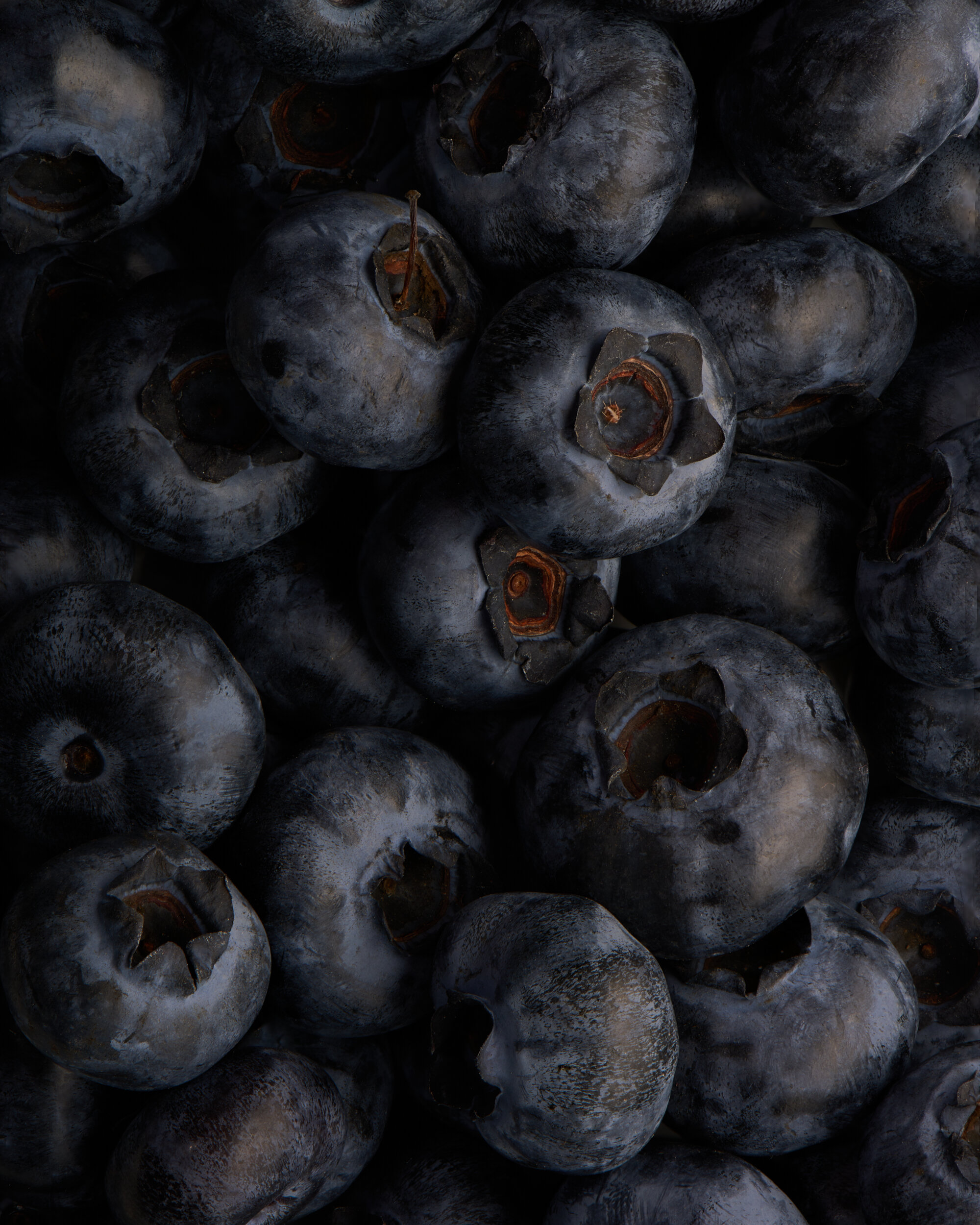 Blueberries by RMcCormick