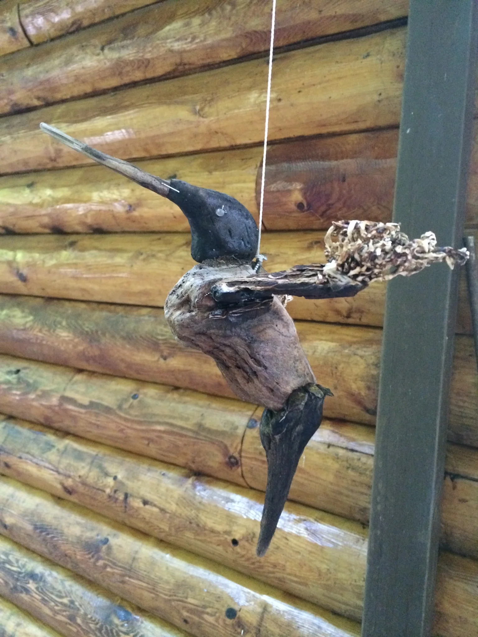 Hummingbird