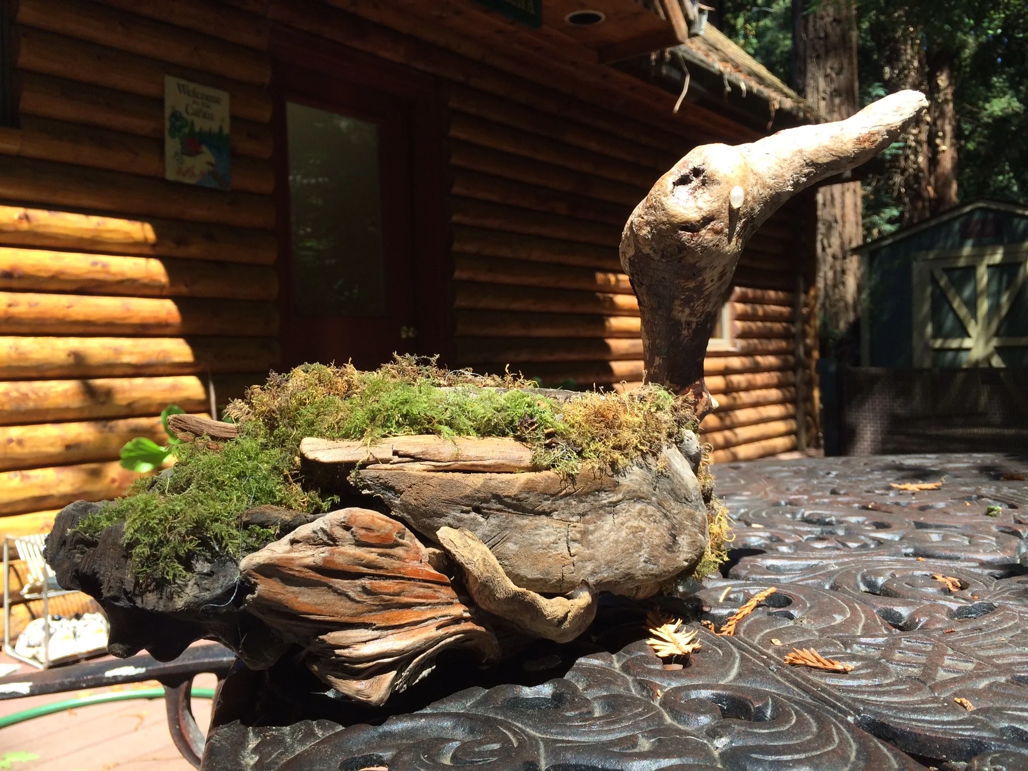 Moss Duck