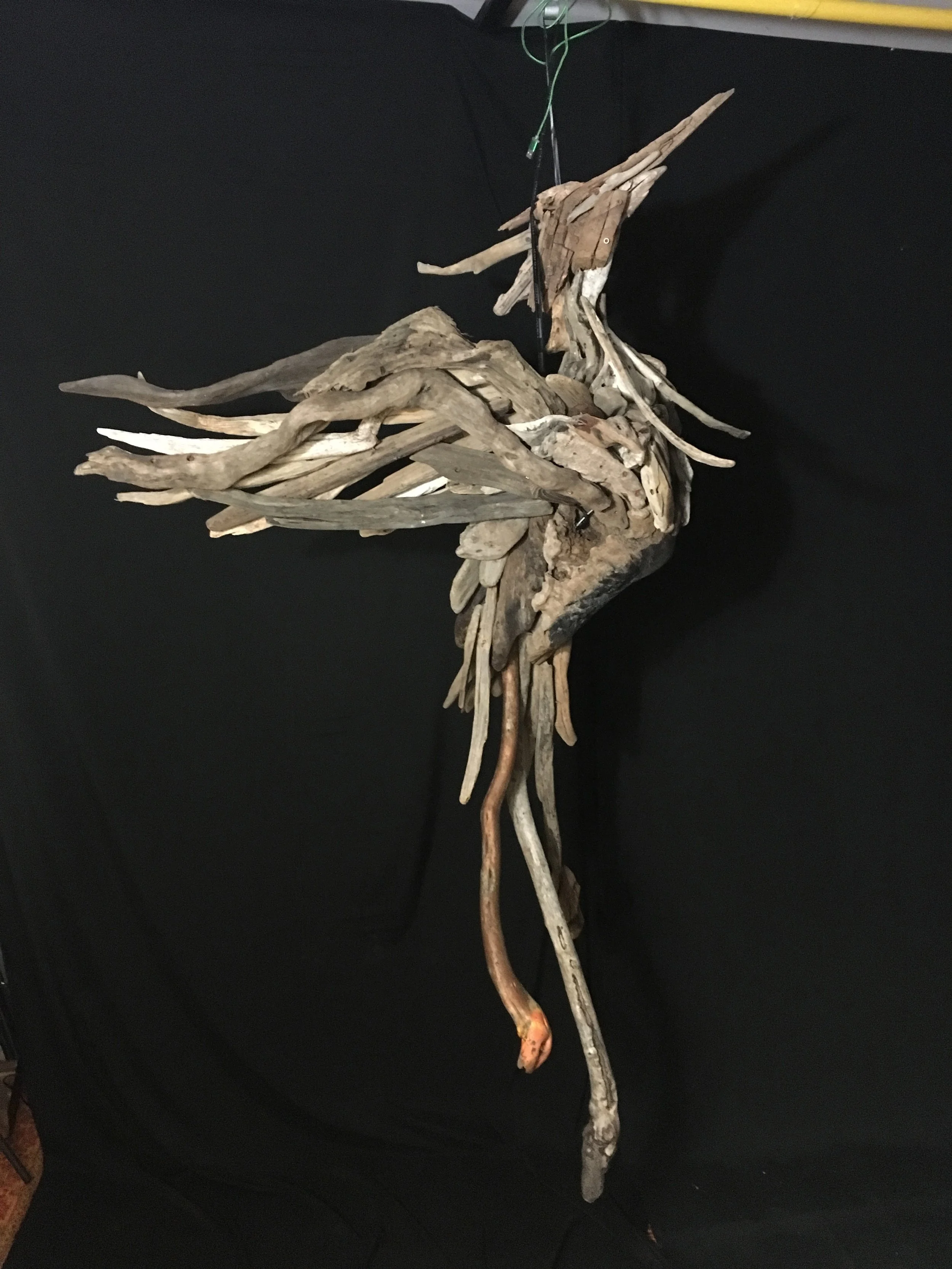 A Rising Phoenix