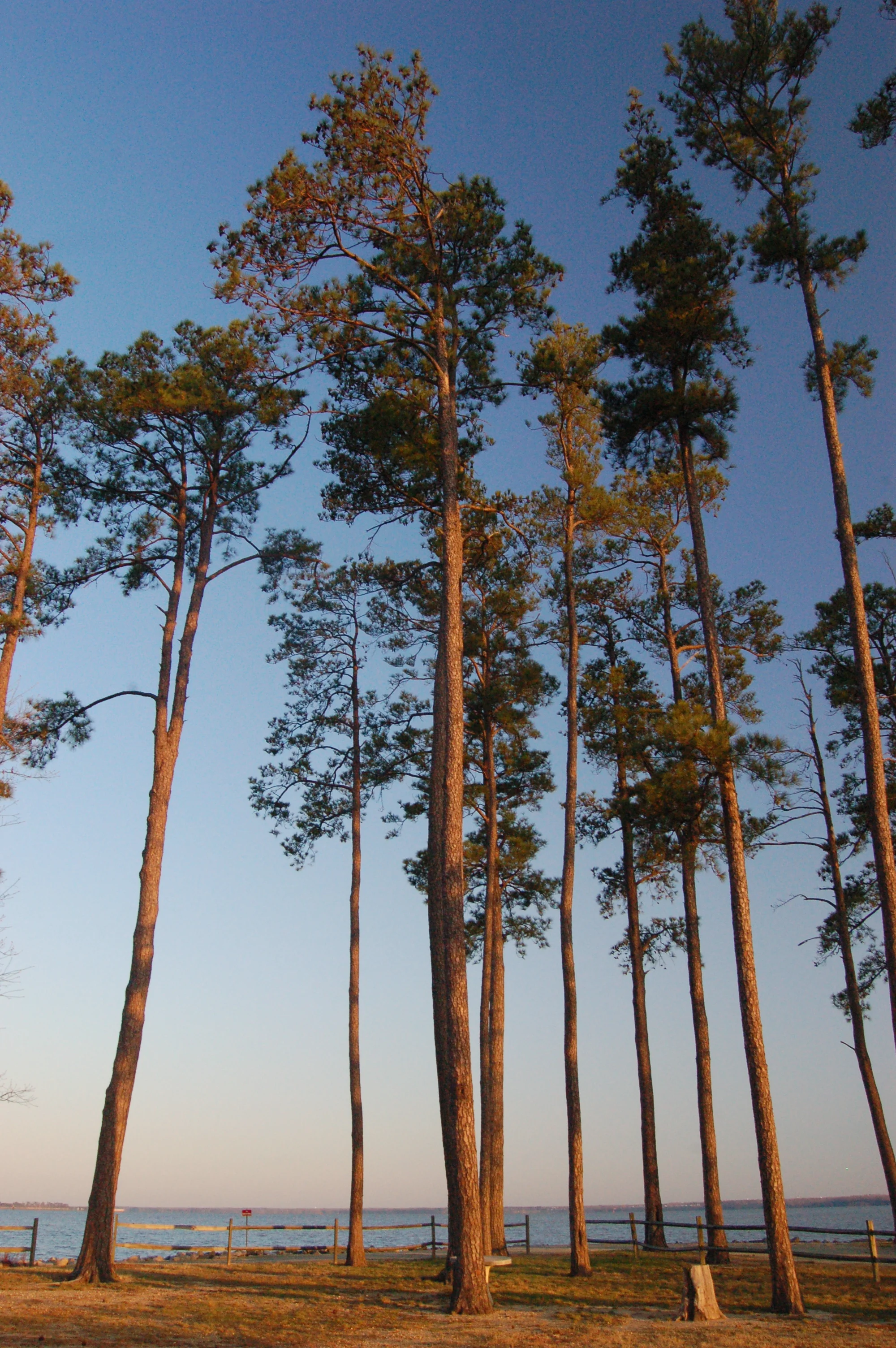 From the Highway 80.JPG