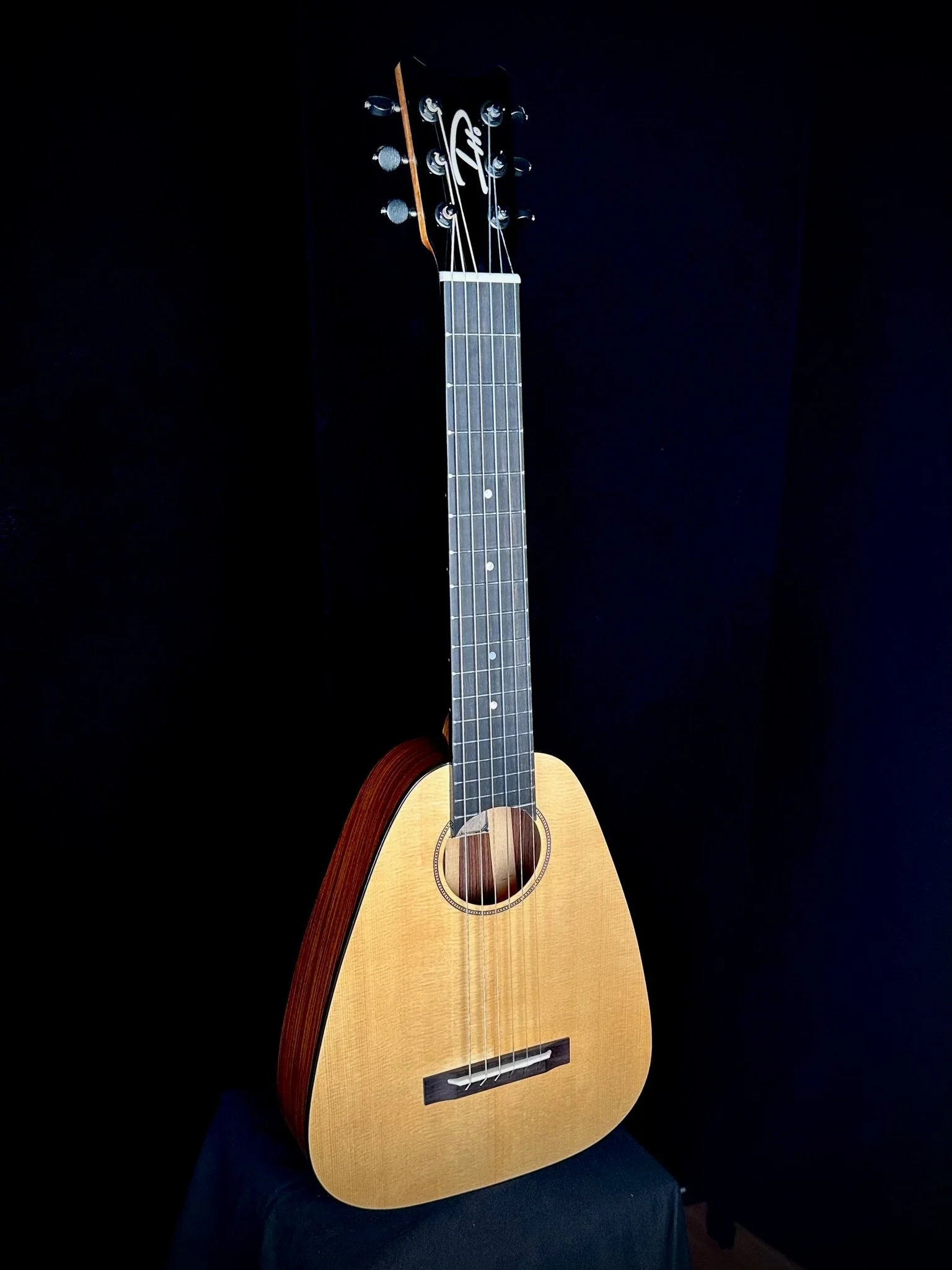 D Ho 6-String Vibrante Spruce/Pau Ferro 24014