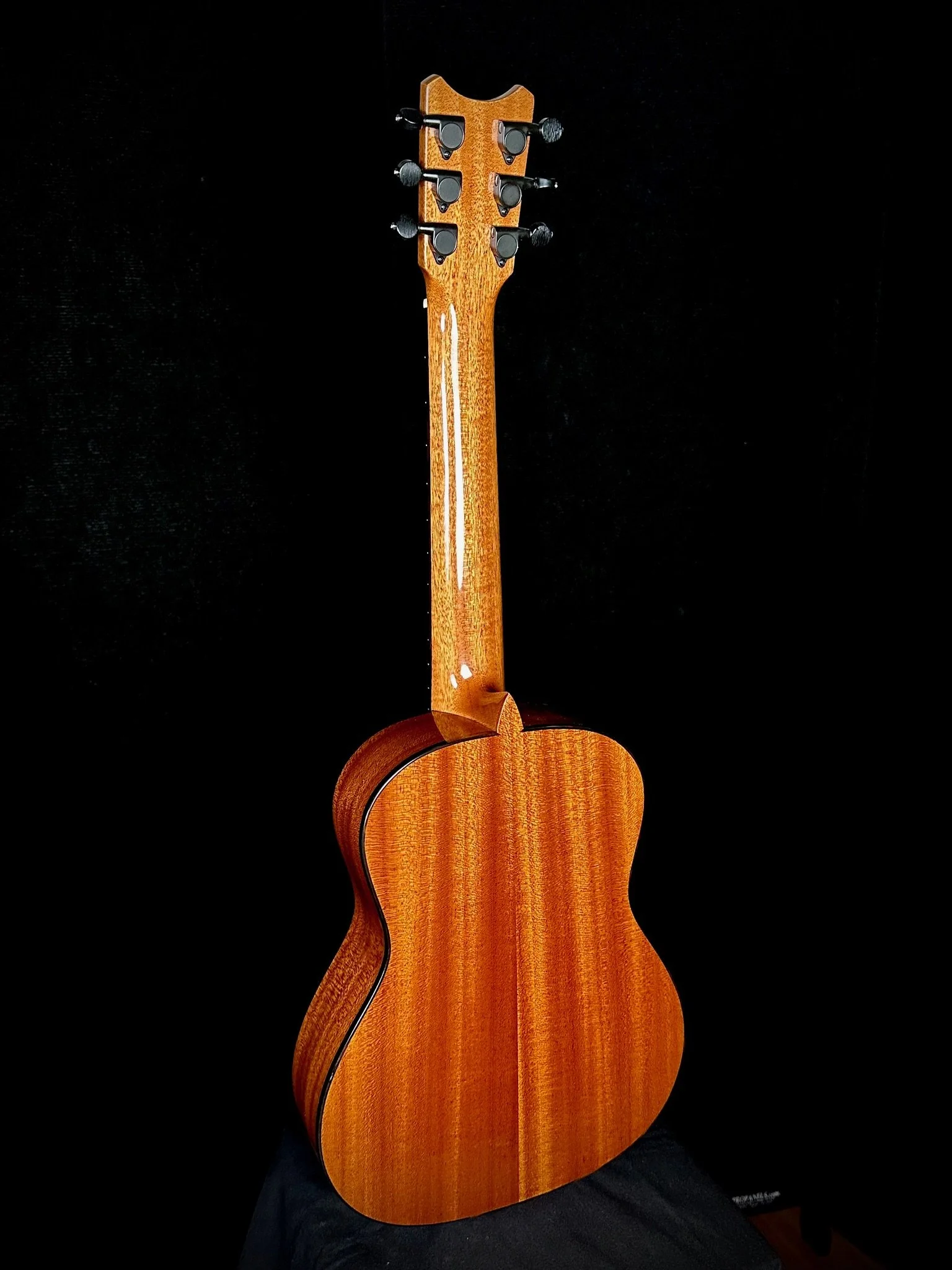 B6 steel Spruce:Mahogany 20025 w MISI ba.jpg