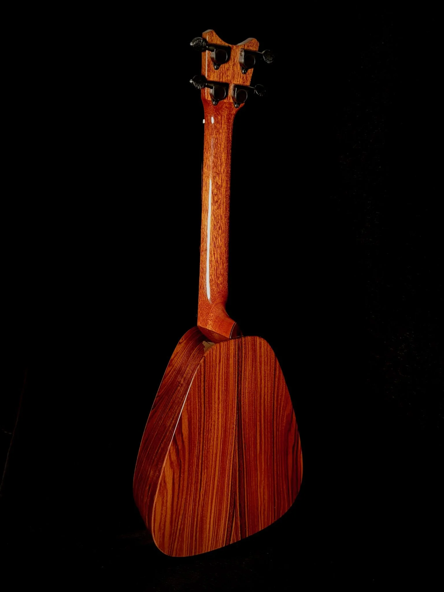 101 TT V CP 24033 back.jpg