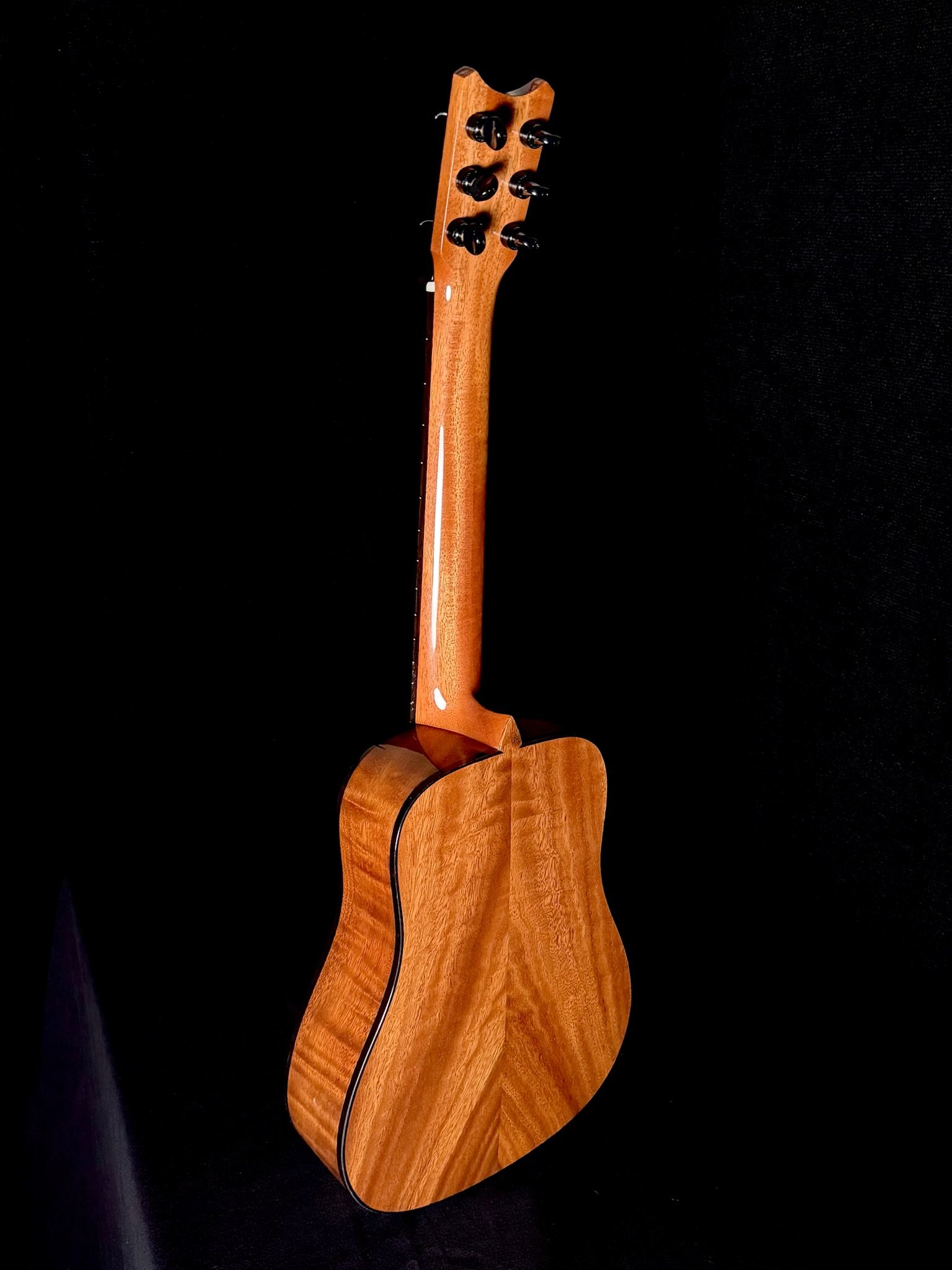 77 DHo6 D SP 25003 back.jpg