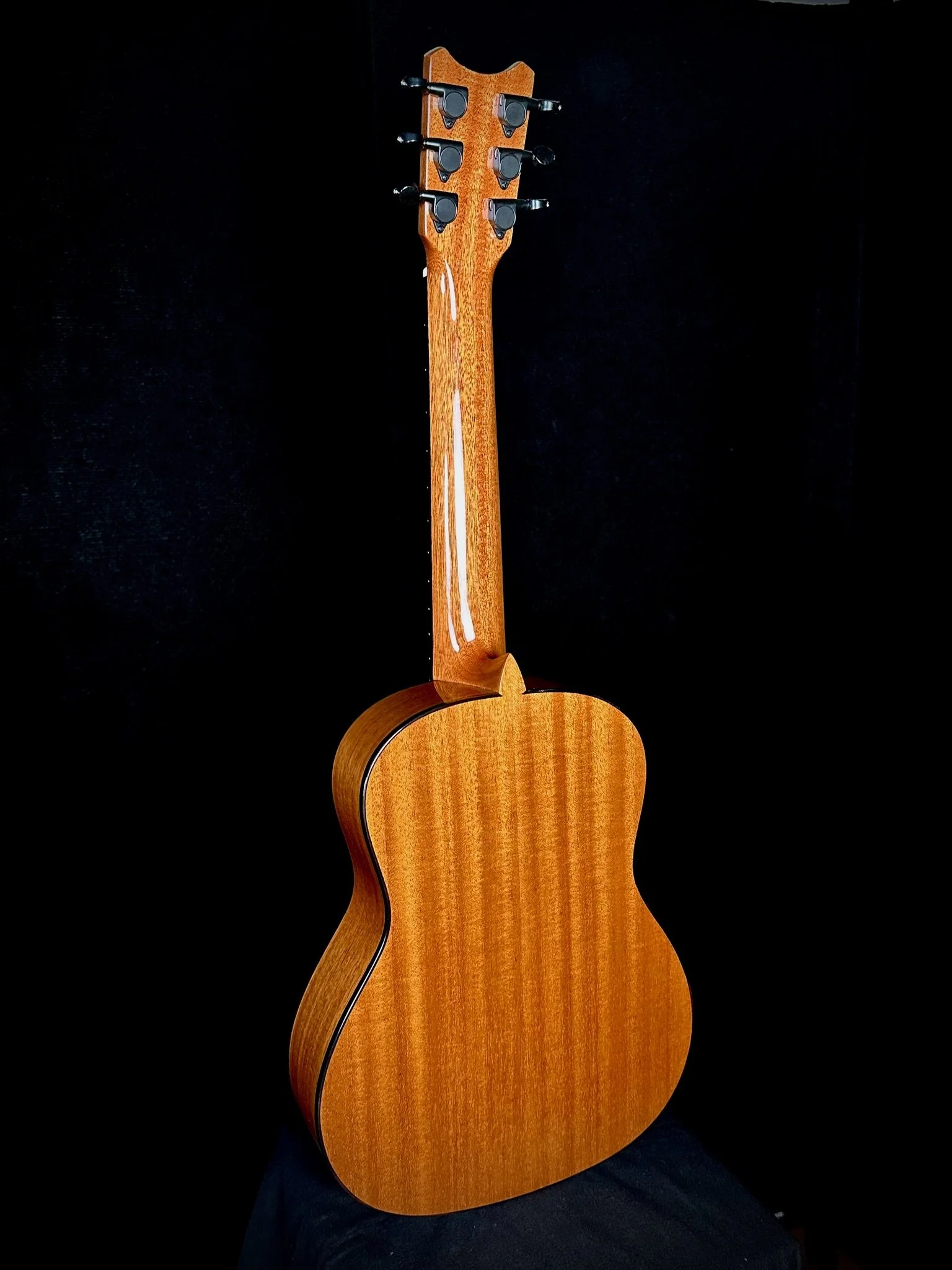 B6 steel Spruce:Mahogany 20028 w MISI ba.jpg