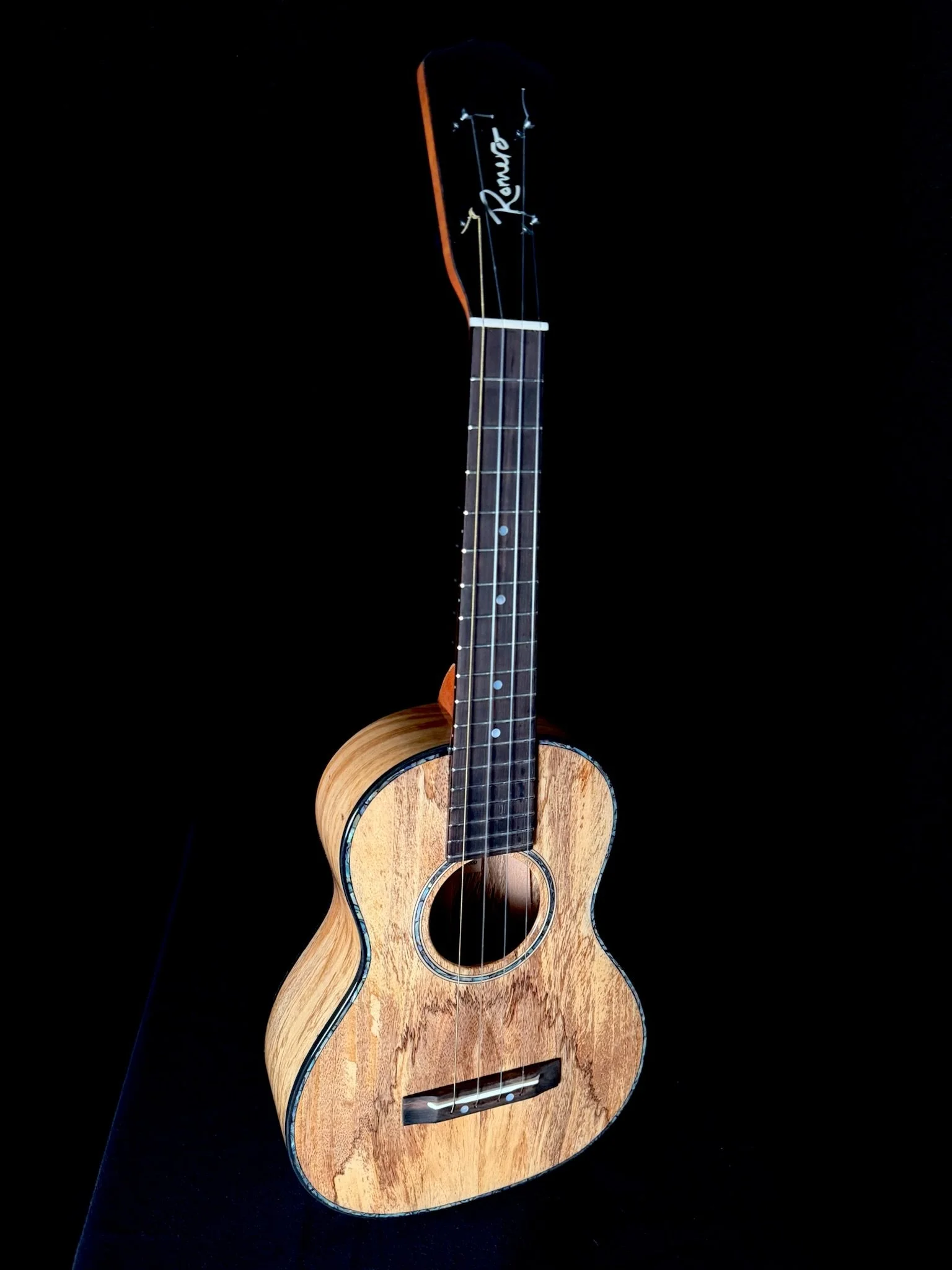 83 SigTenor MG 24003 front.jpg