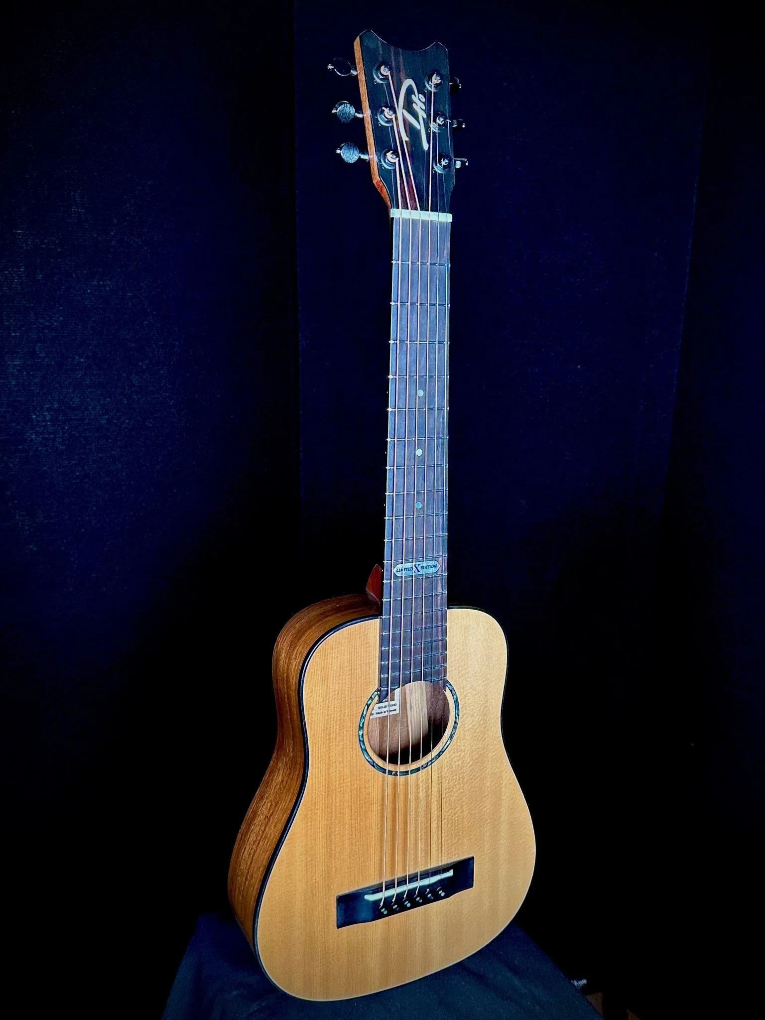 D Ho 6-String Dreadnought (Steel) Spruce/Phoenix w/ MISI pickup 23005