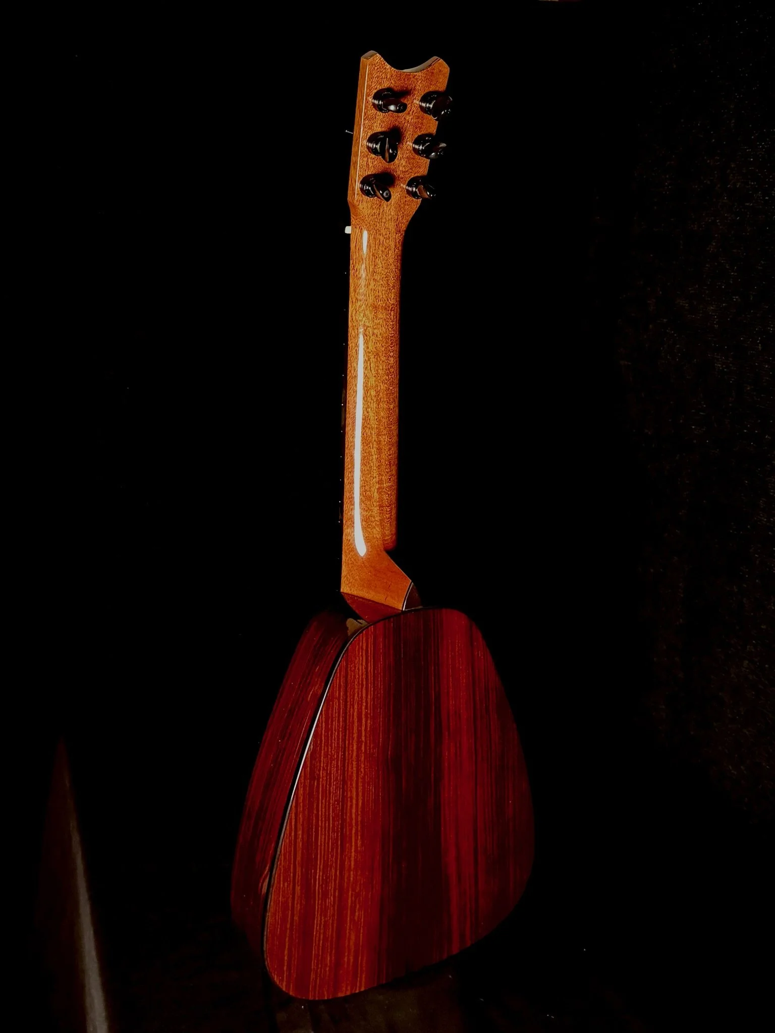 74 DHo6 CRW 24002 back.jpg