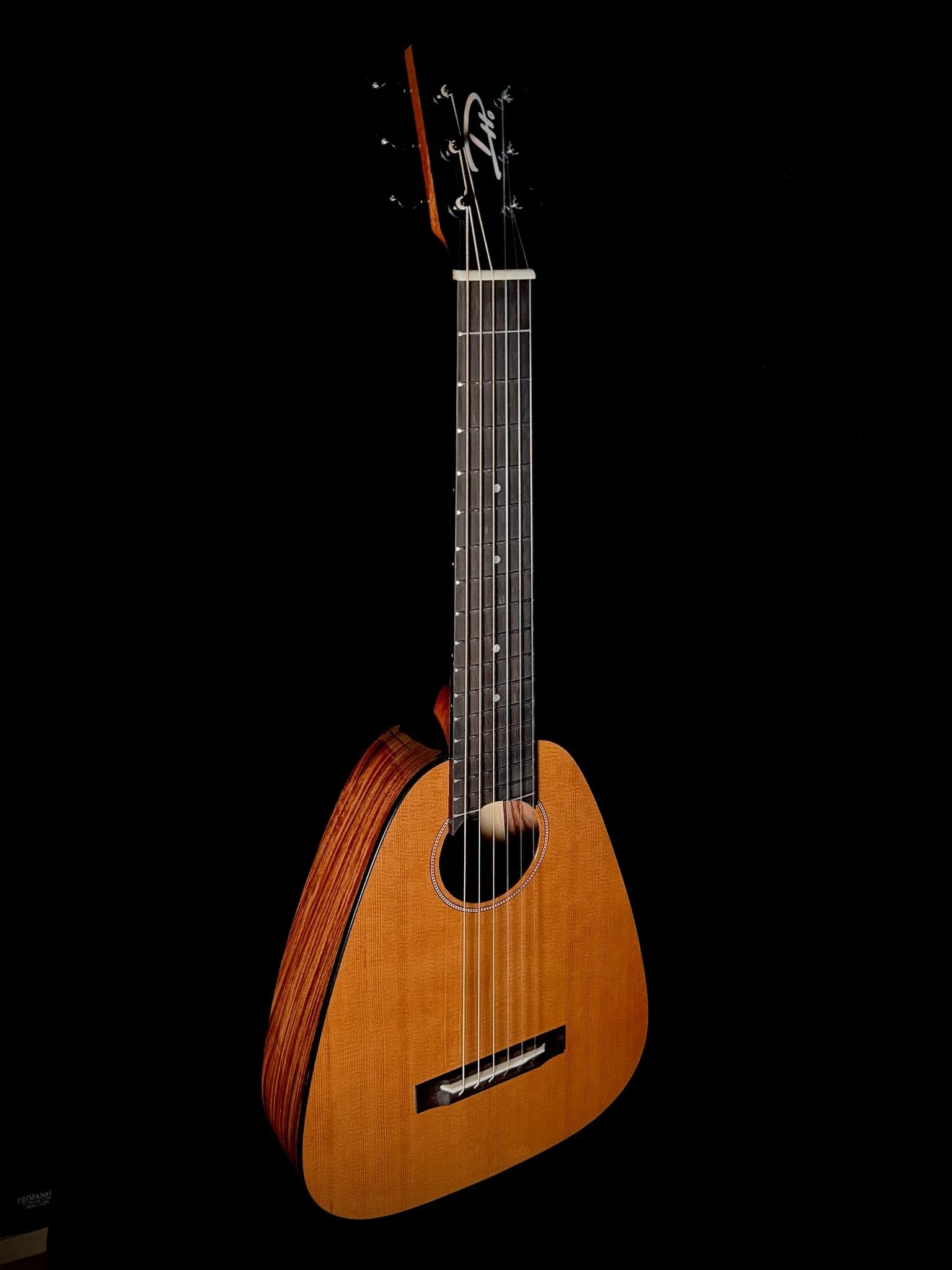 D Ho 6-String Vibrante Cedar/Pau Ferro 24006