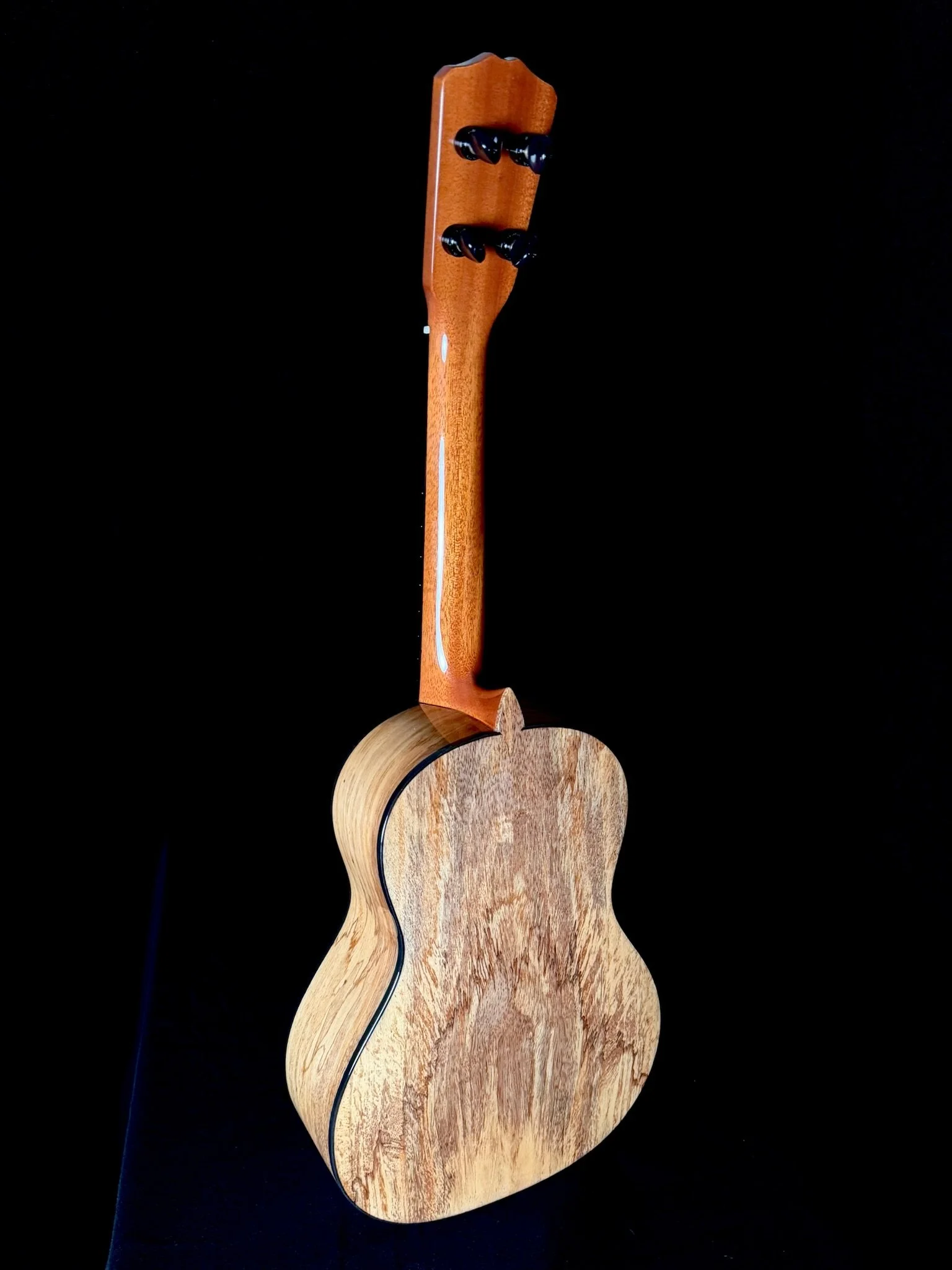 83 SigTenor MG 24003 back.jpg
