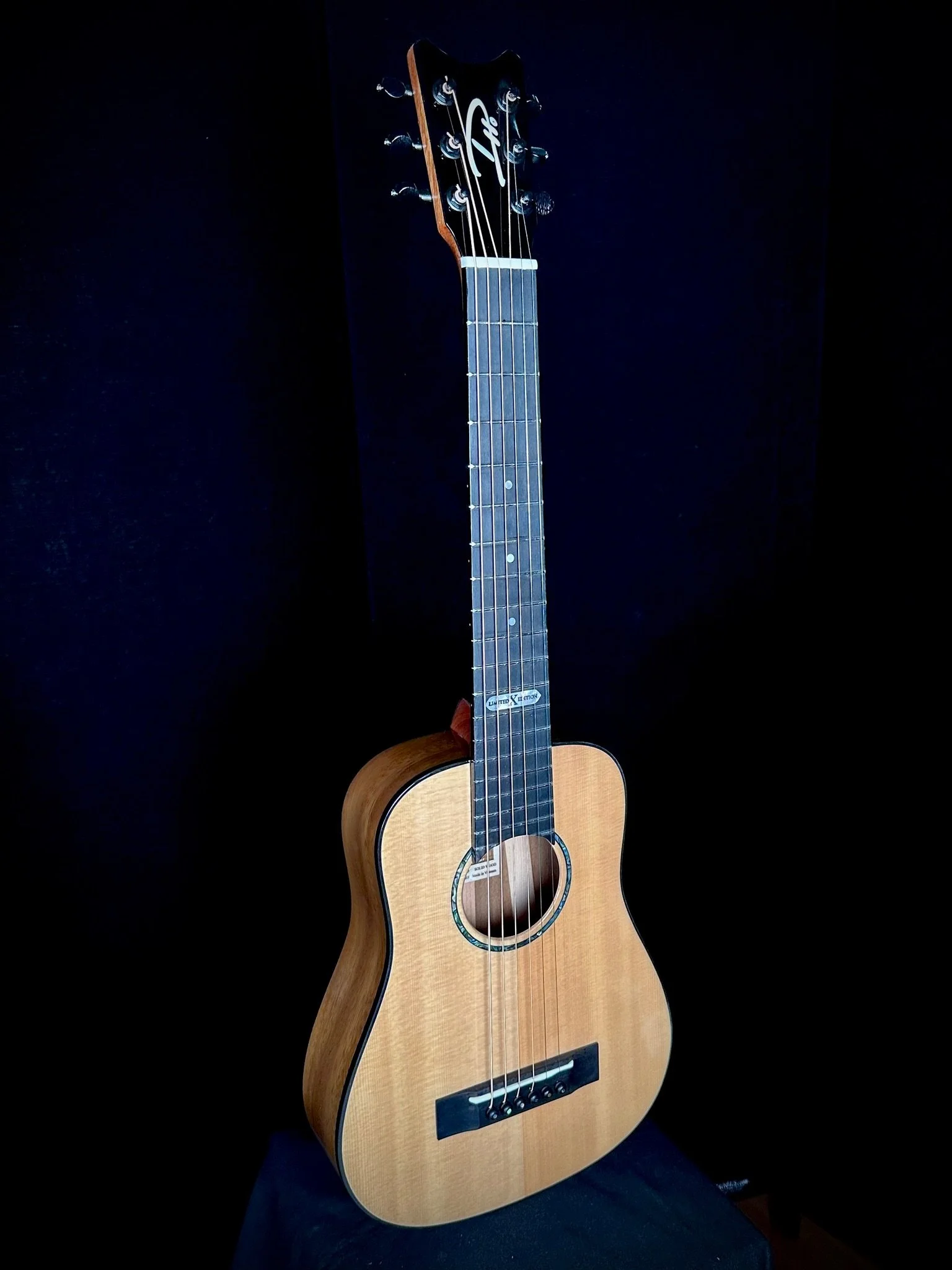 D Ho 6-String Dreadnought (Steel) Spruce/Phoenix w/ MISI pickup 23011