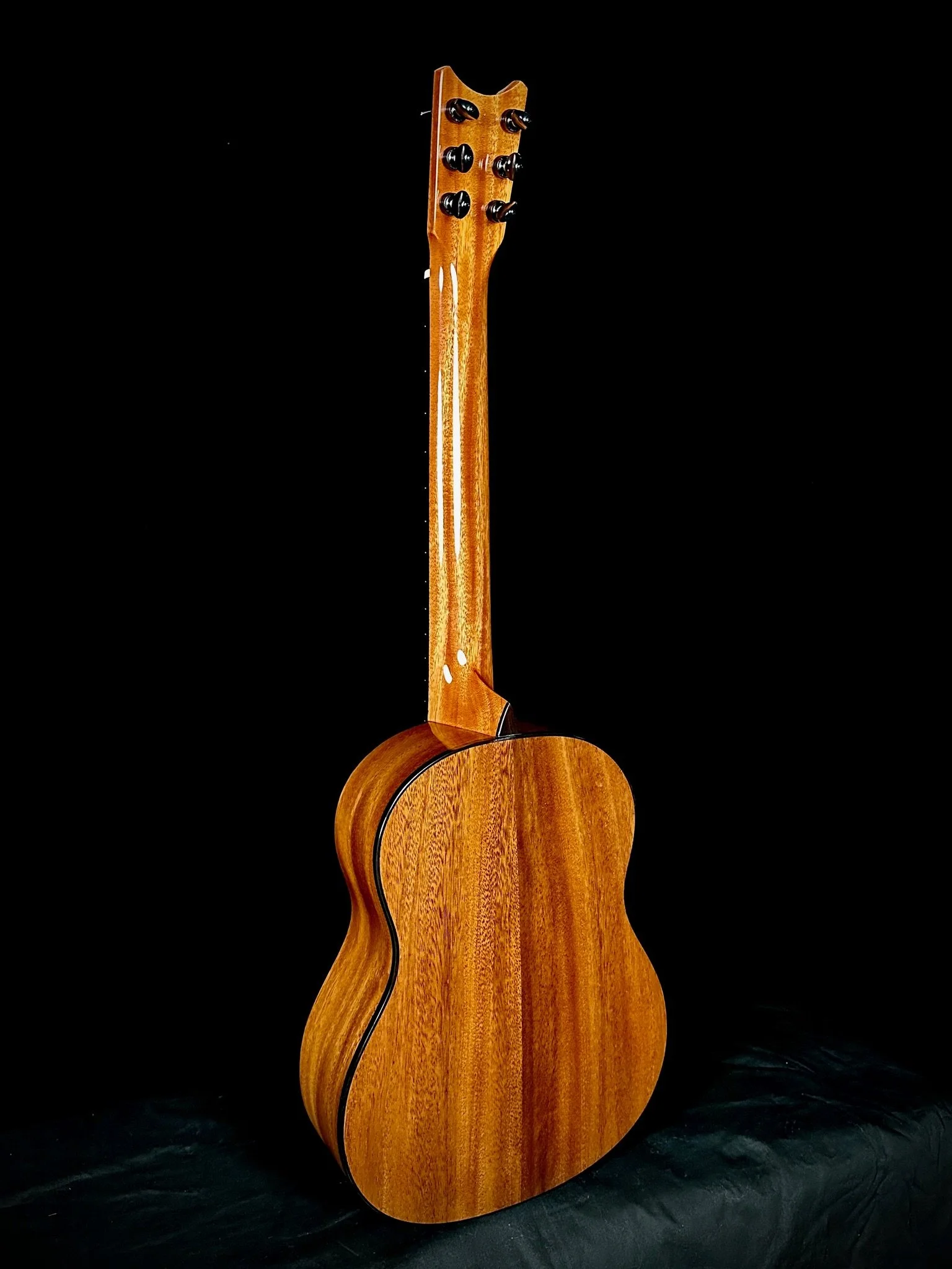 Parlor 6string Cedar:Phoenix 25001 ba.jpg