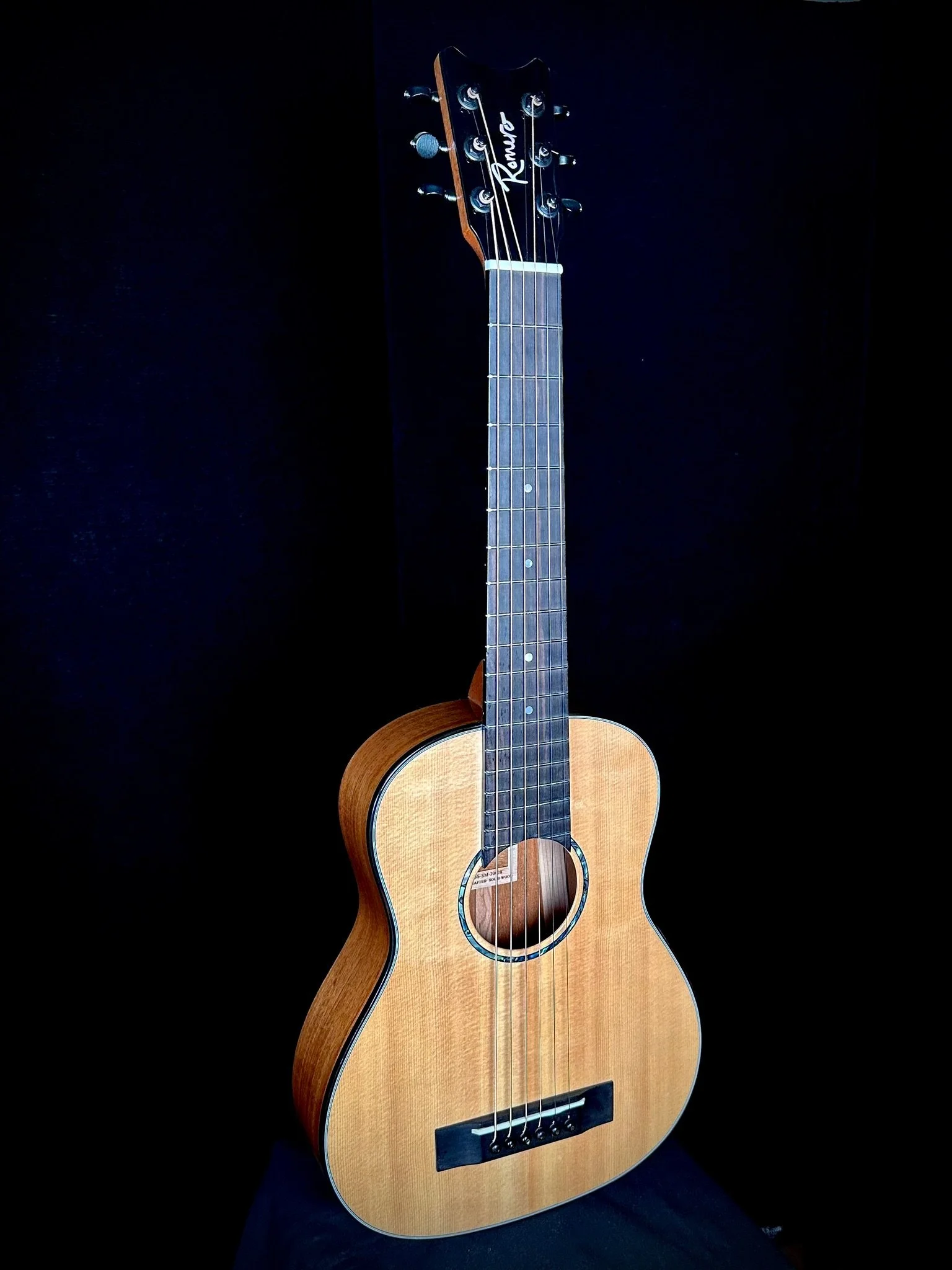 B6 steel Spruce:Mahogany 20028 w MISI fr.jpg
