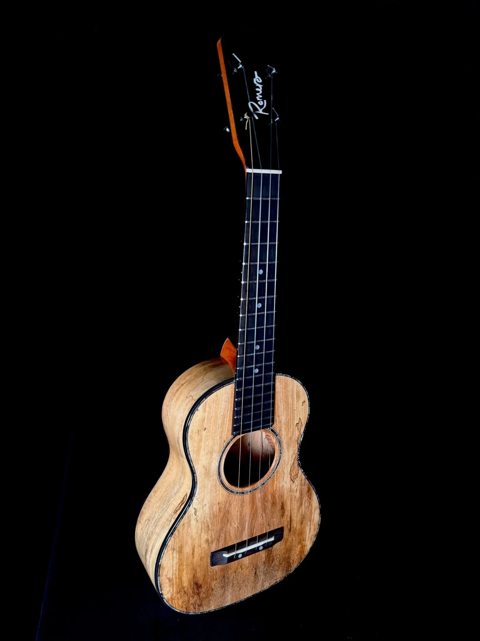 81 SigTenor MG 24001 front.jpg